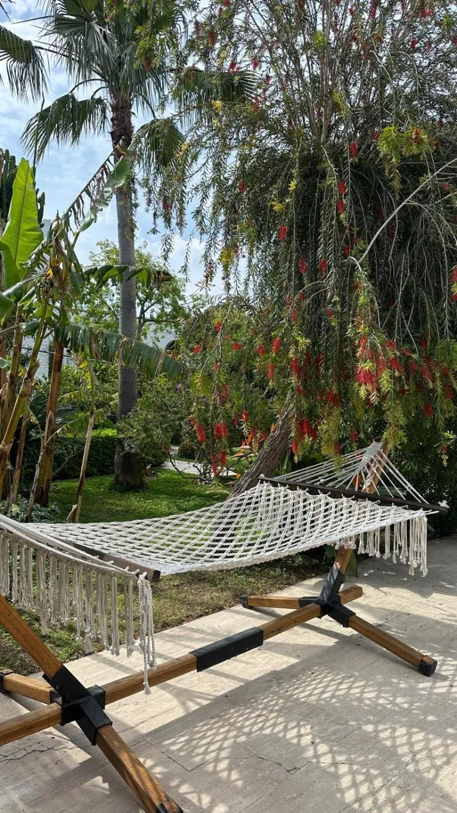 Garden in Hotel Karia Princess