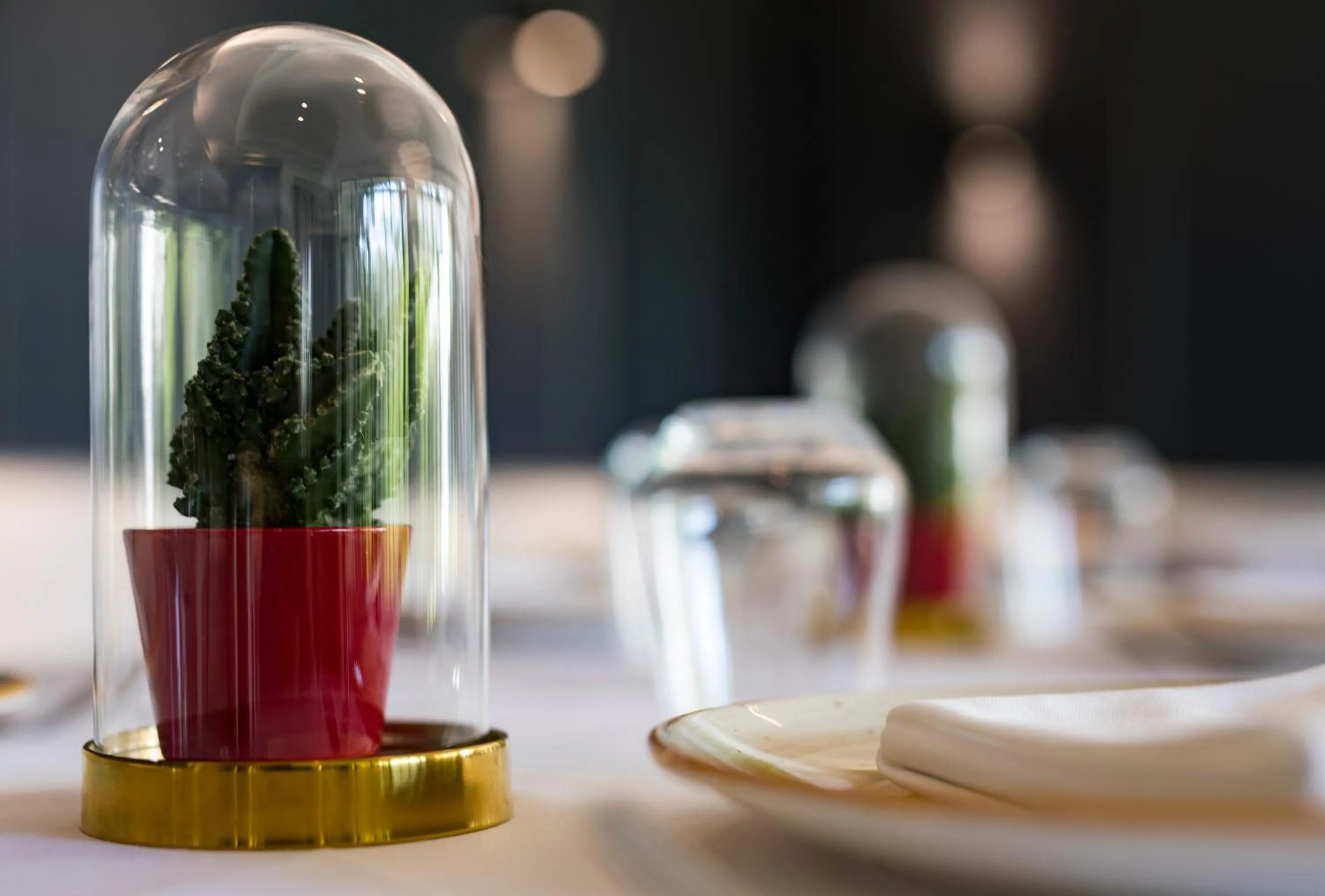 Food and drinks in Hotel Karia Princess