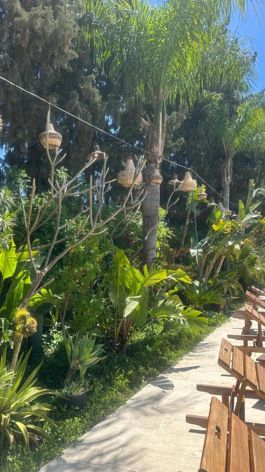 Garden in Hotel Karia Princess