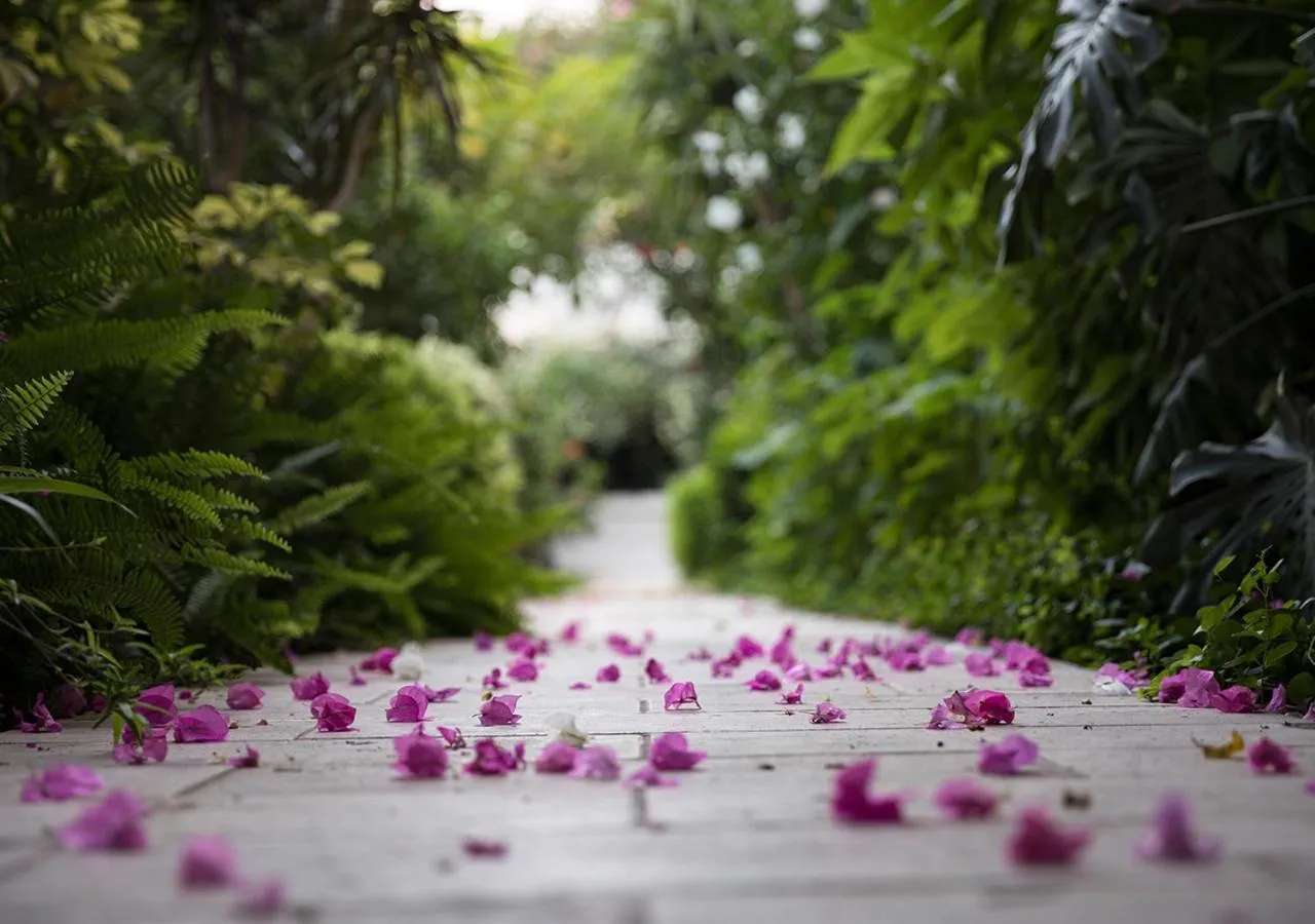 Natural landscape in Hotel Karia Princess