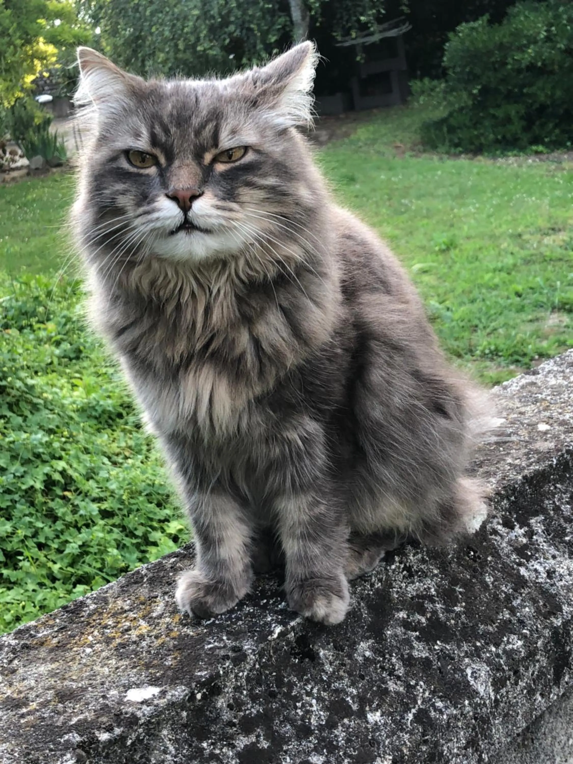 Property building in B&B la Serenissima