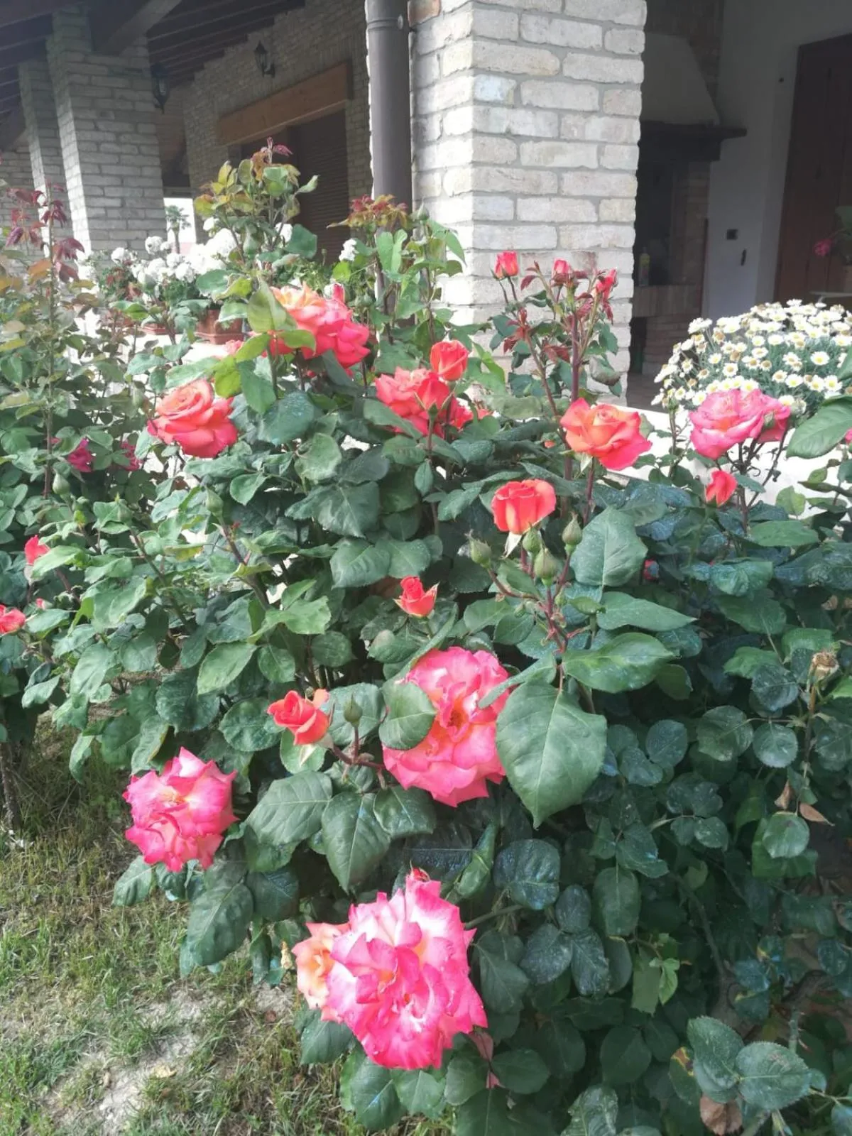 Property building in B&B la Serenissima