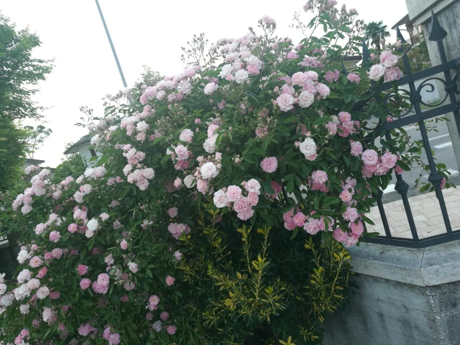 Property building in B&B la Serenissima