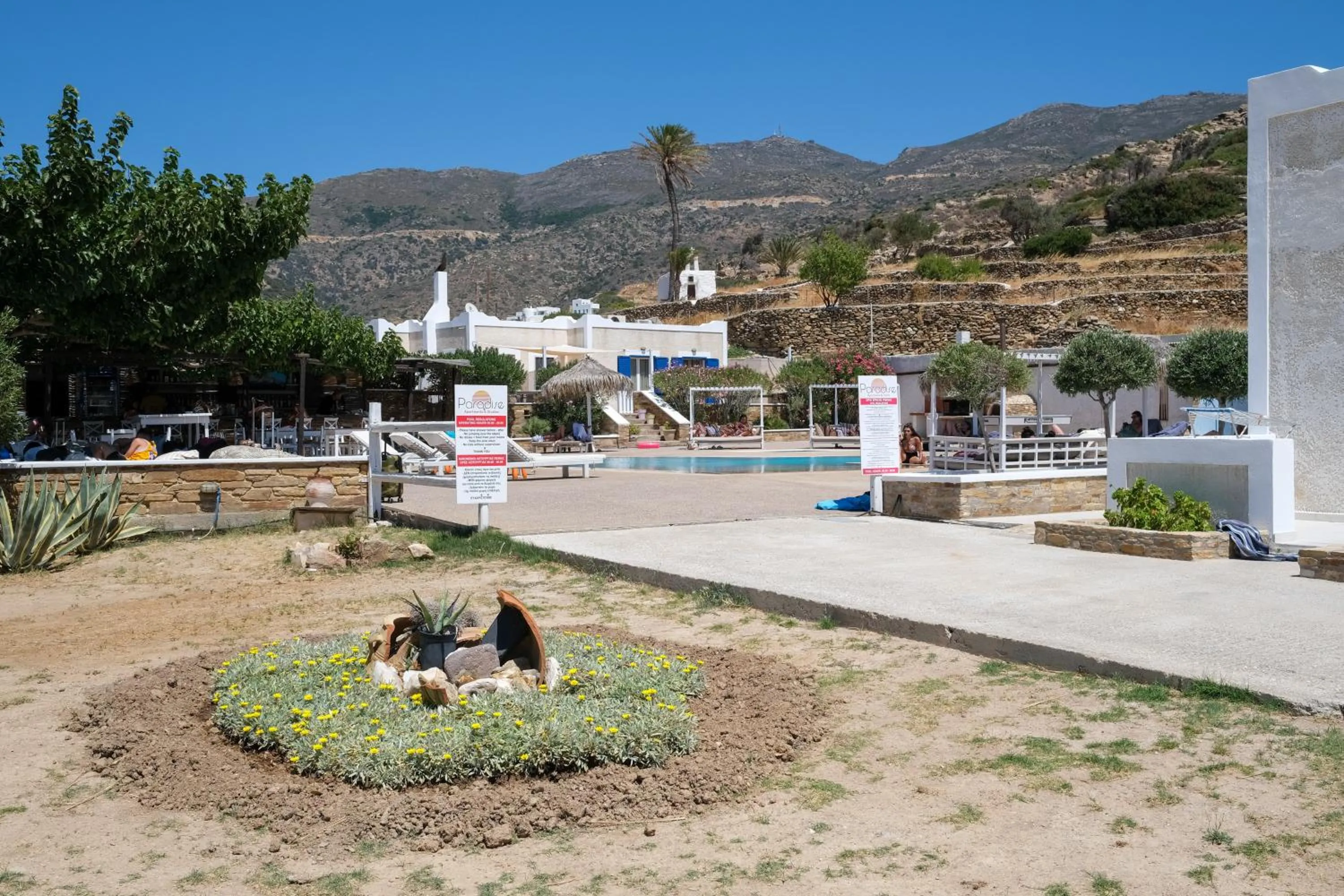 Paradise Apartments Studios