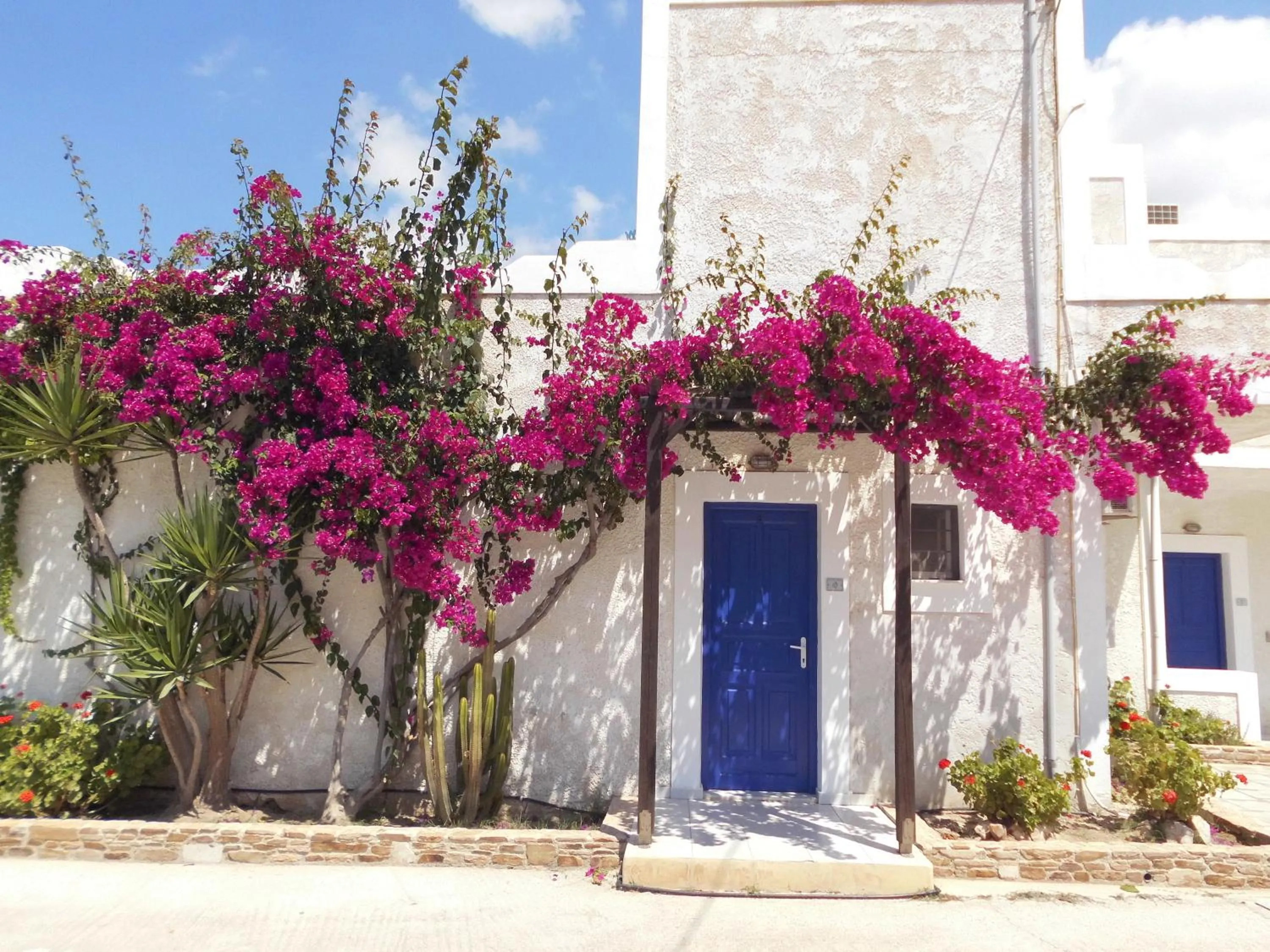 Patio in Paradise Apartments Studios