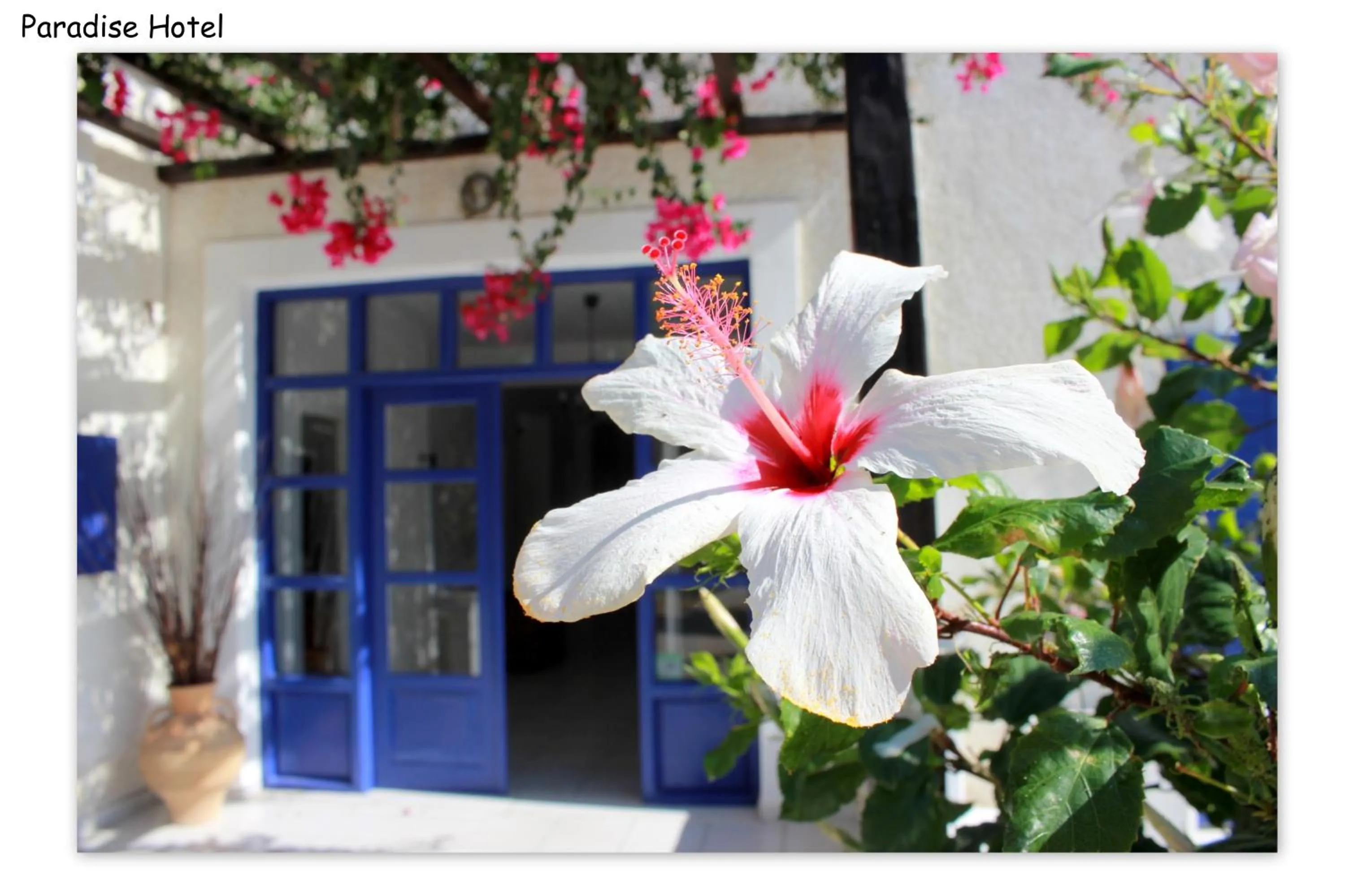 Lobby or reception in Paradise Apartments Studios