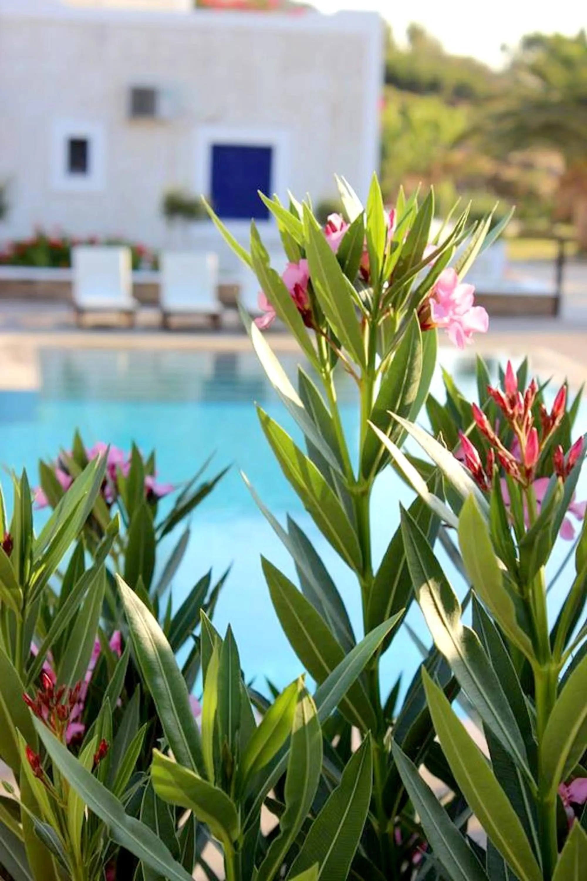 Facade/entrance in Paradise Apartments Studios