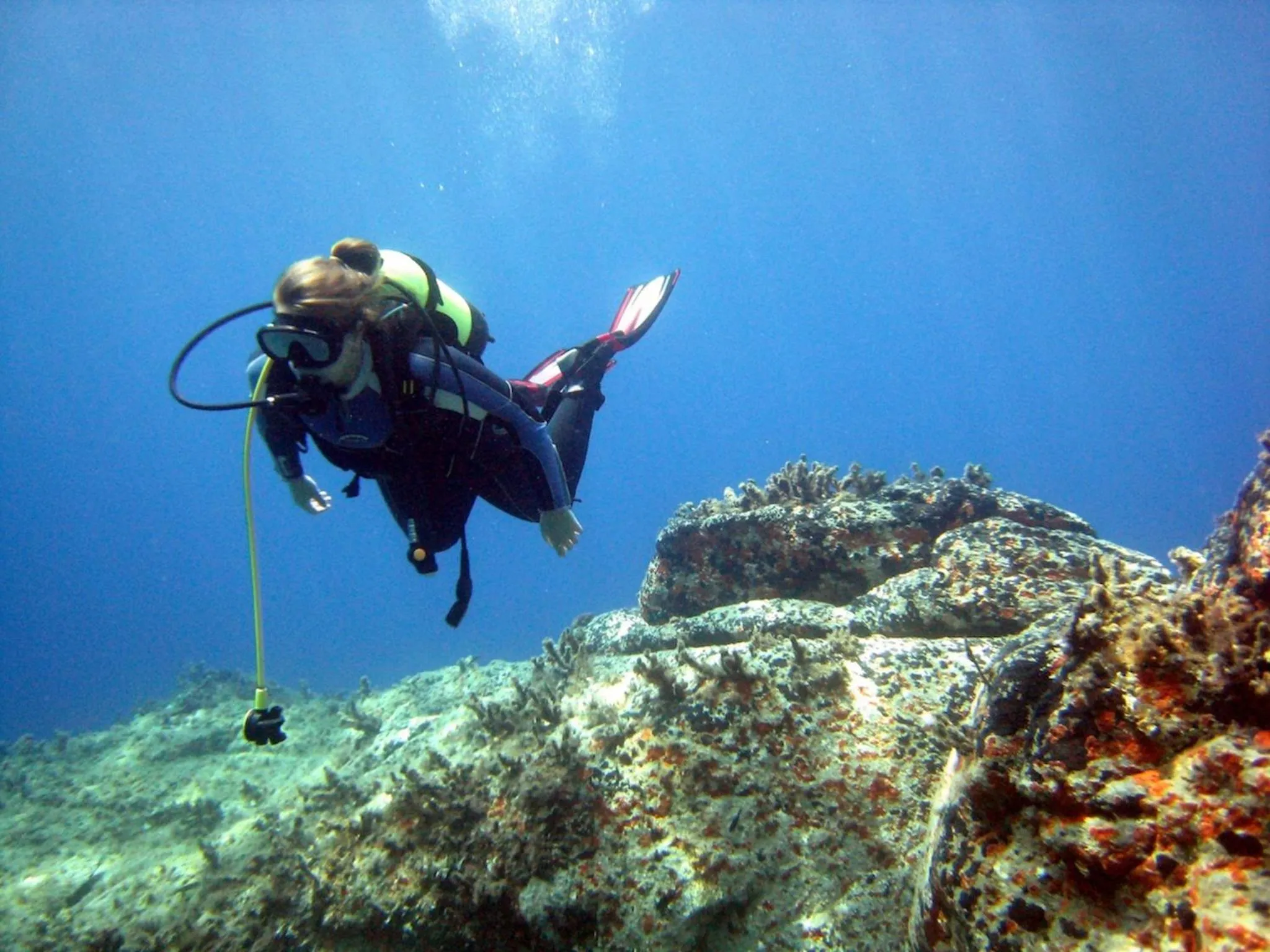 Diving in Paradise Apartments Studios