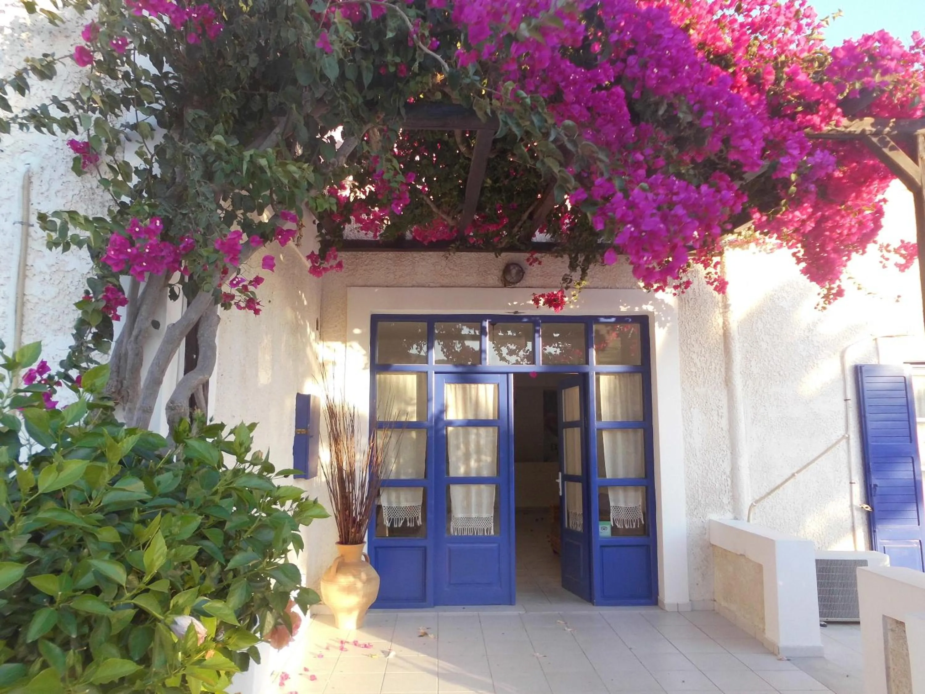 Lobby or reception in Paradise Apartments Studios