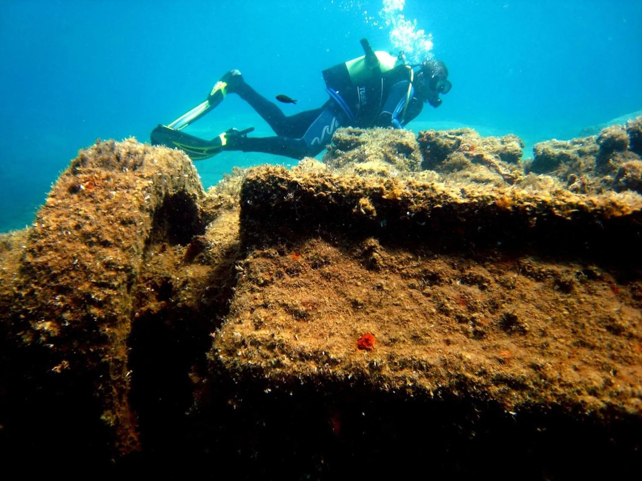 Diving in Paradise Apartments Studios