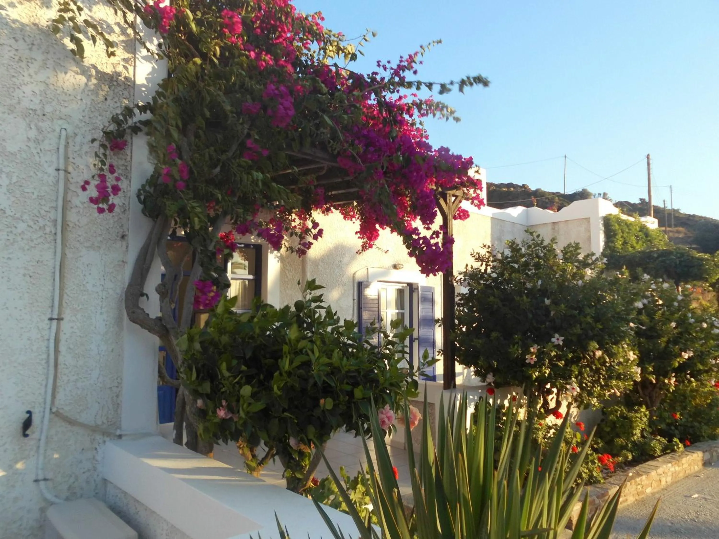 Balcony/Terrace in Paradise Apartments Studios