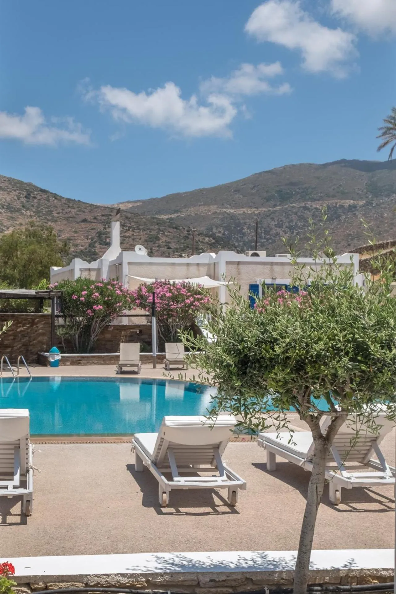 Pool view in Paradise Apartments Studios