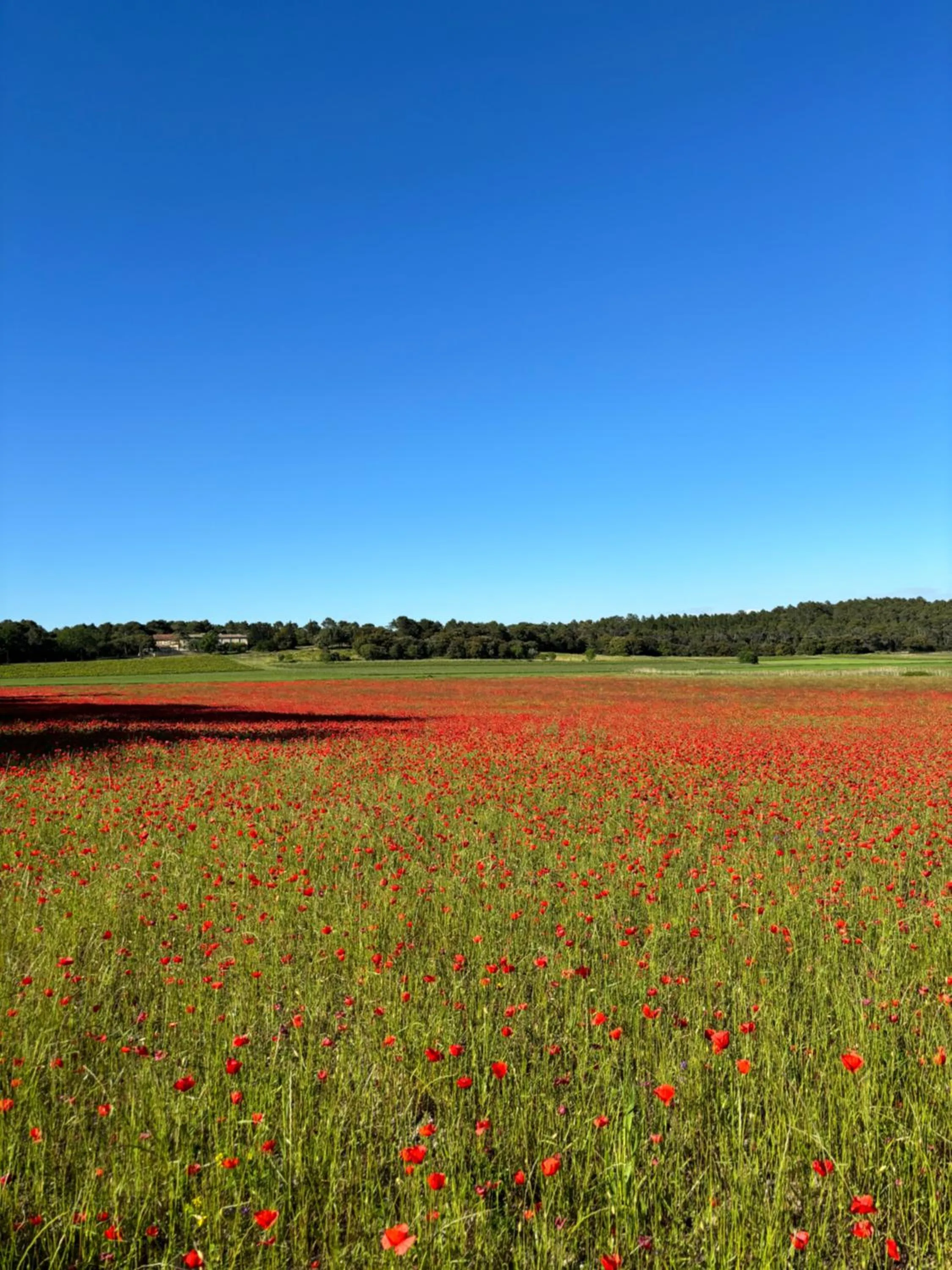 Spring in Domaine du Commandeur