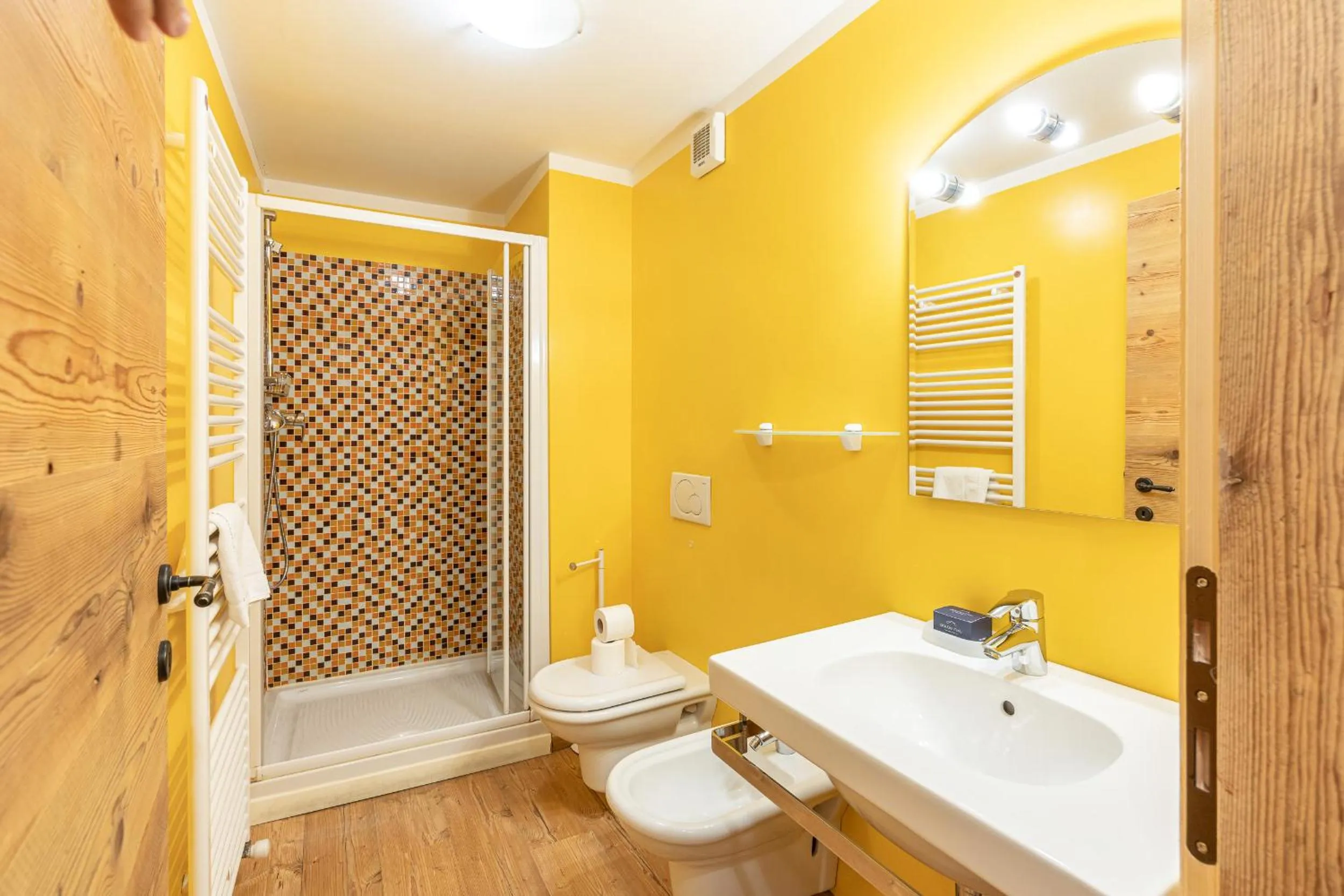 Shower in Alla Regia