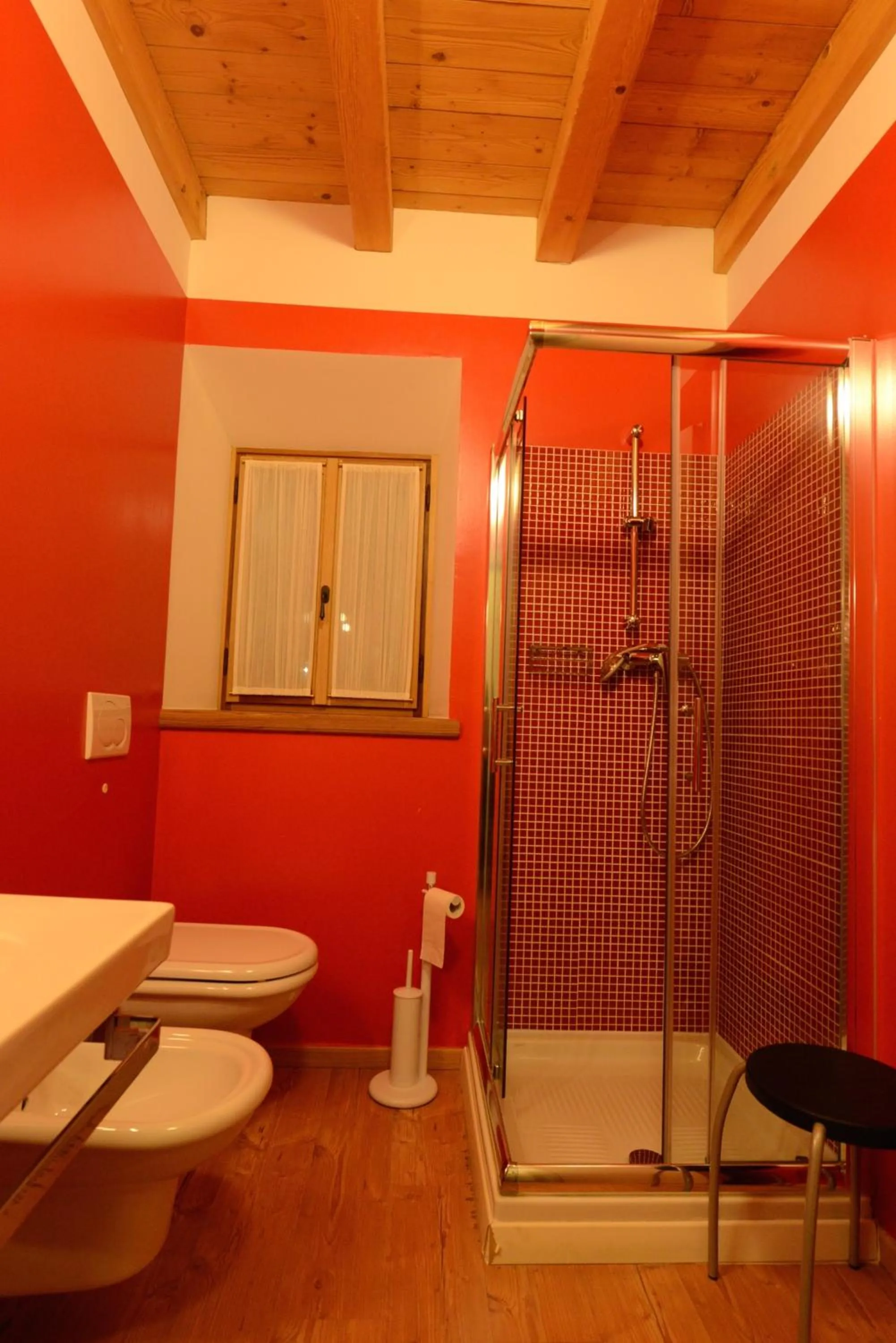 Shower in Alla Regia