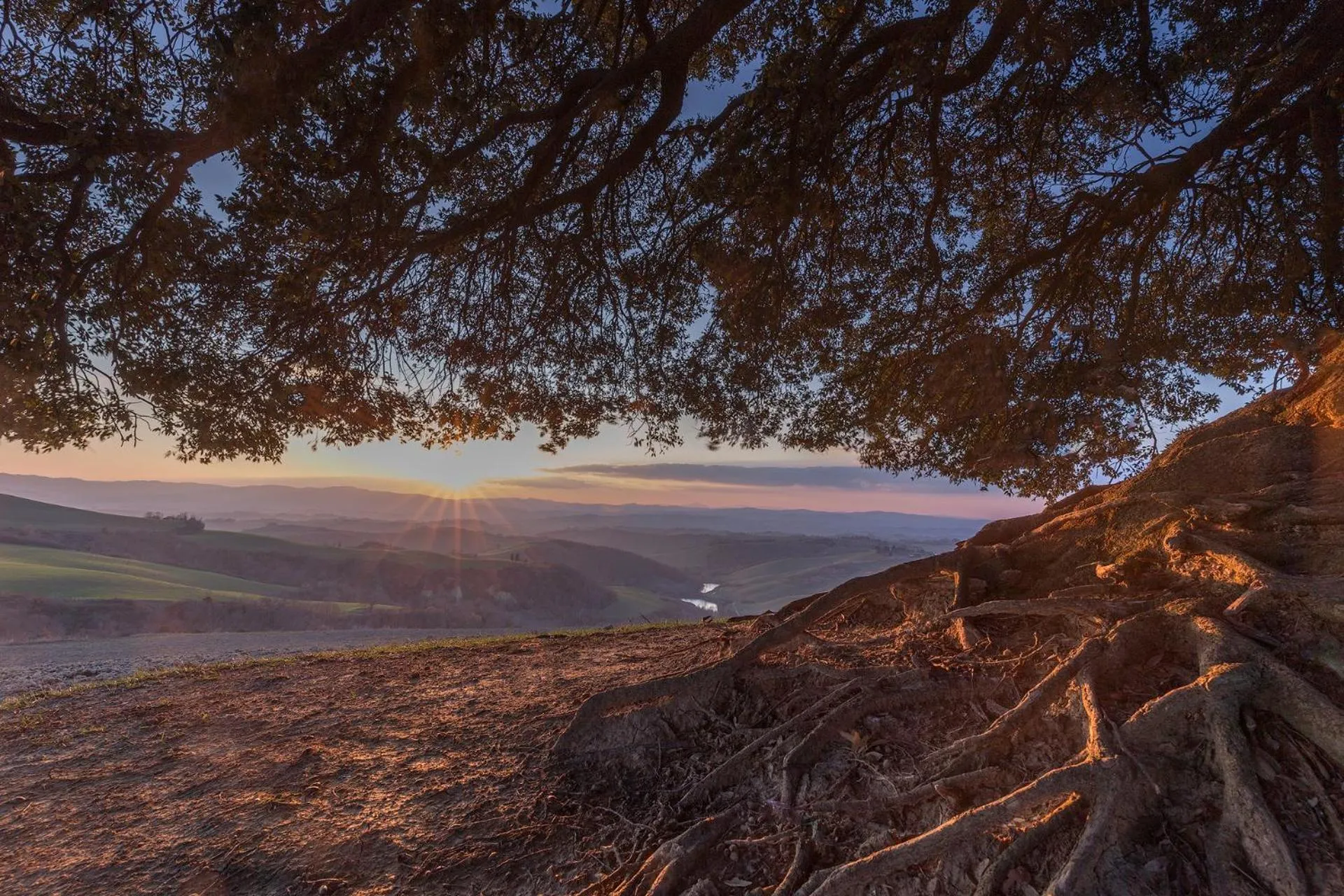 View (from property/room) in Fattoria Pieve a Salti