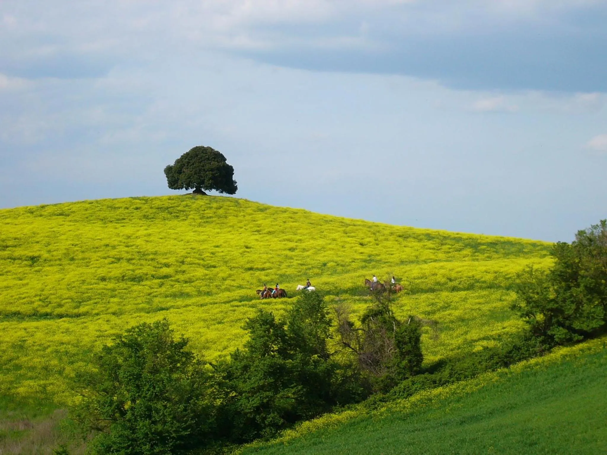 Horse-riding in Fattoria Pieve a Salti