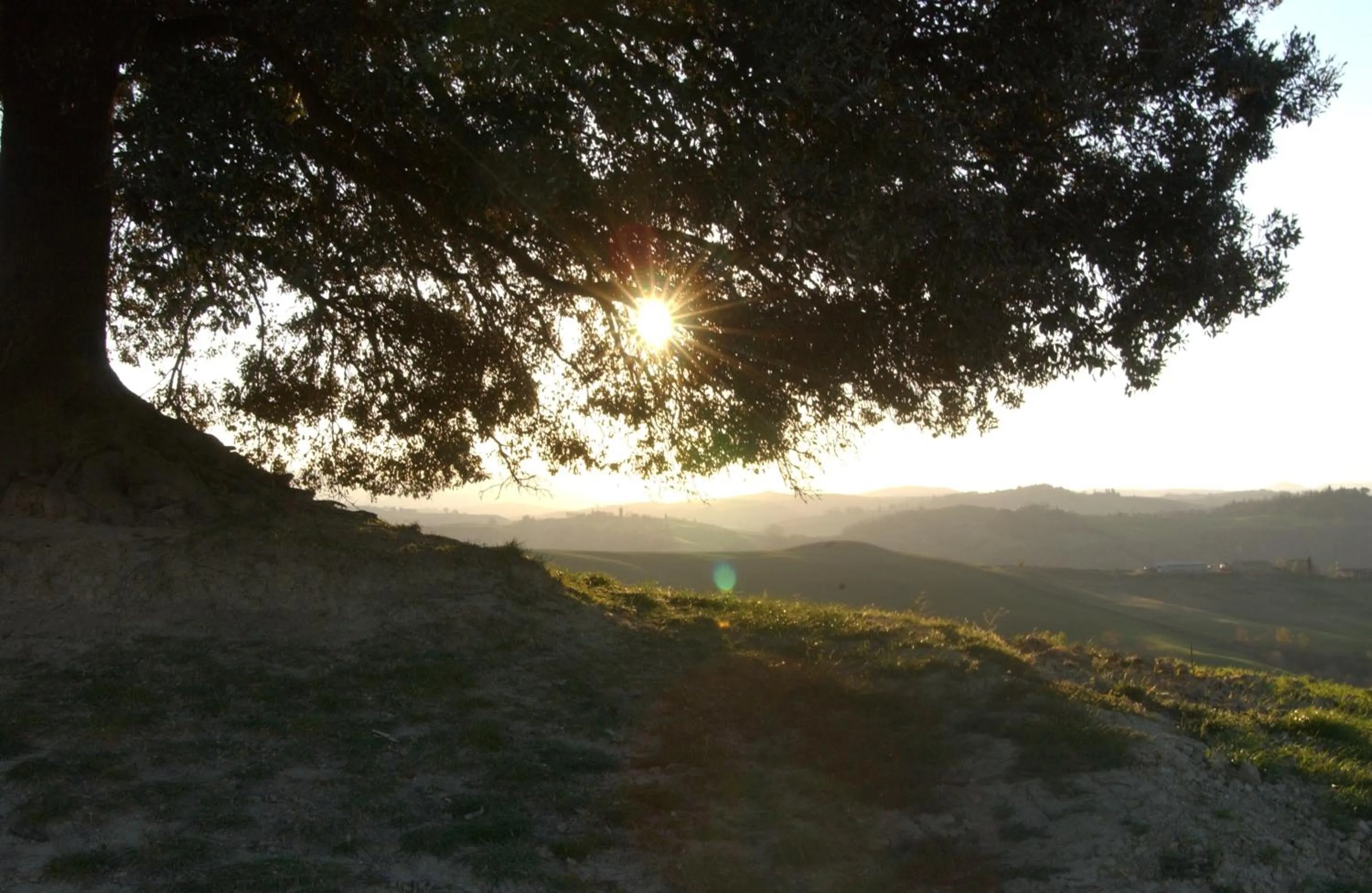 View (from property/room) in Fattoria Pieve a Salti