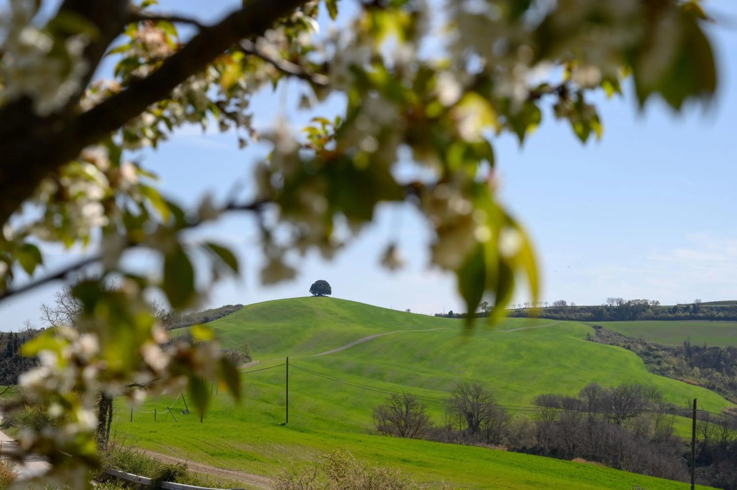 Natural landscape in Fattoria Pieve a Salti