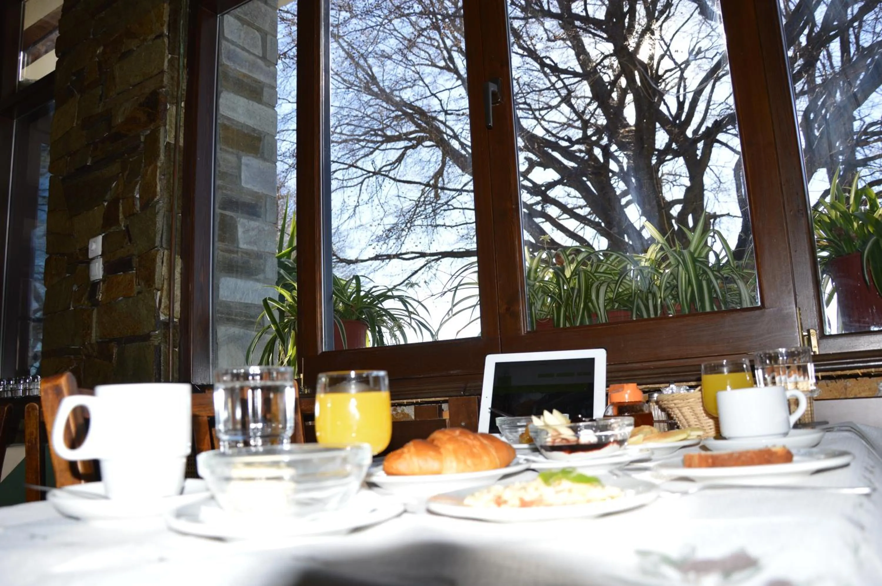 Restaurant/places to eat in Hotel Hani Zisi