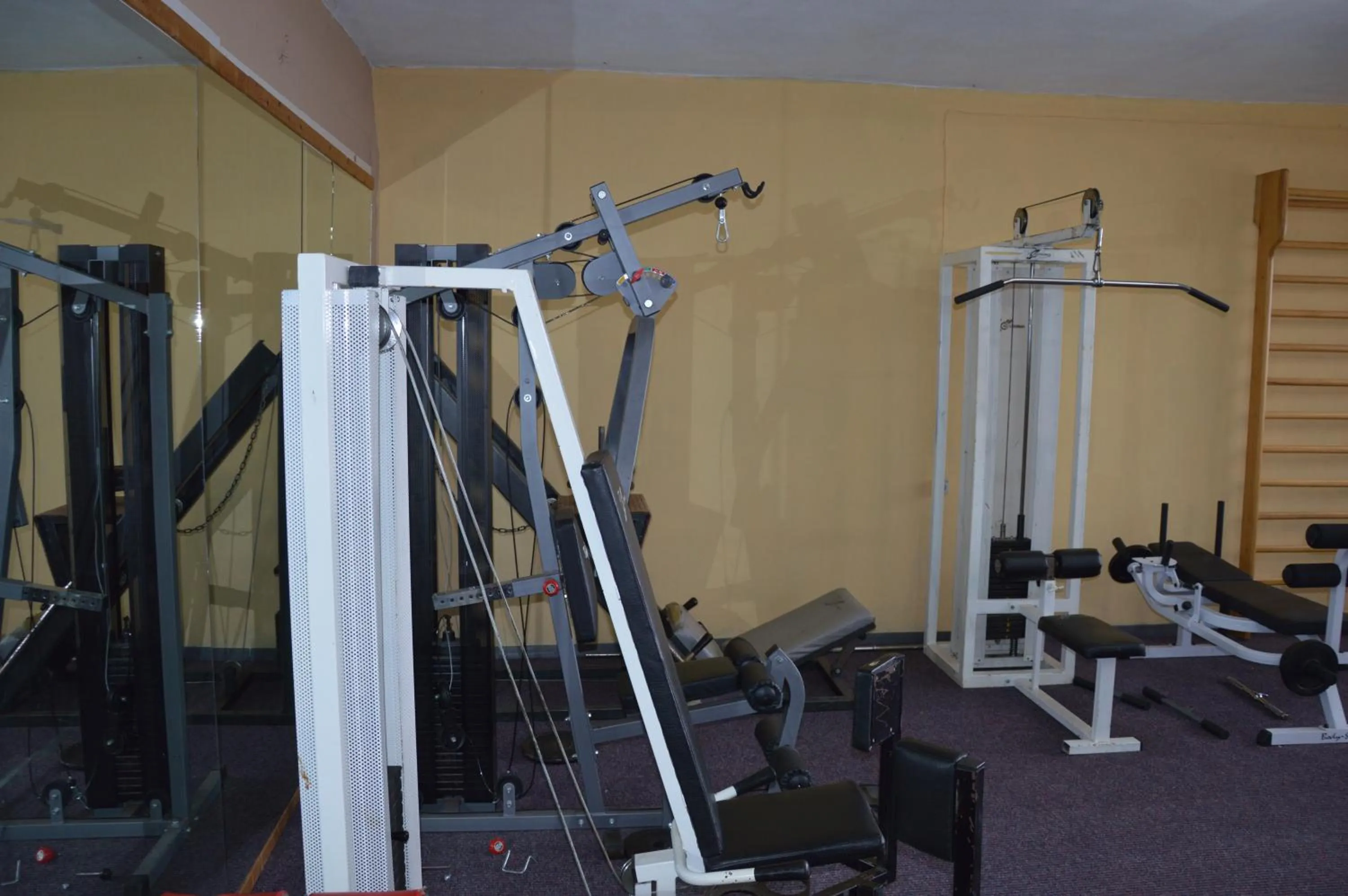 Fitness centre/facilities in Hotel Hani Zisi