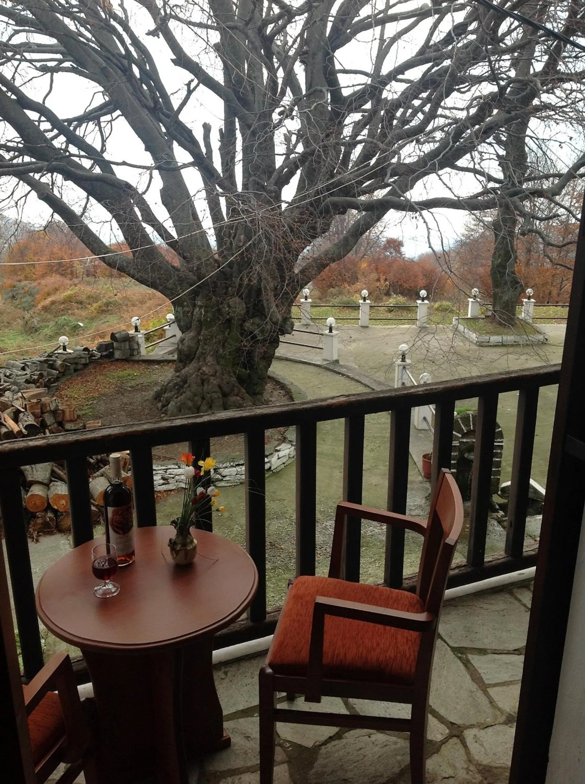 View (from property/room) in Hotel Hani Zisi