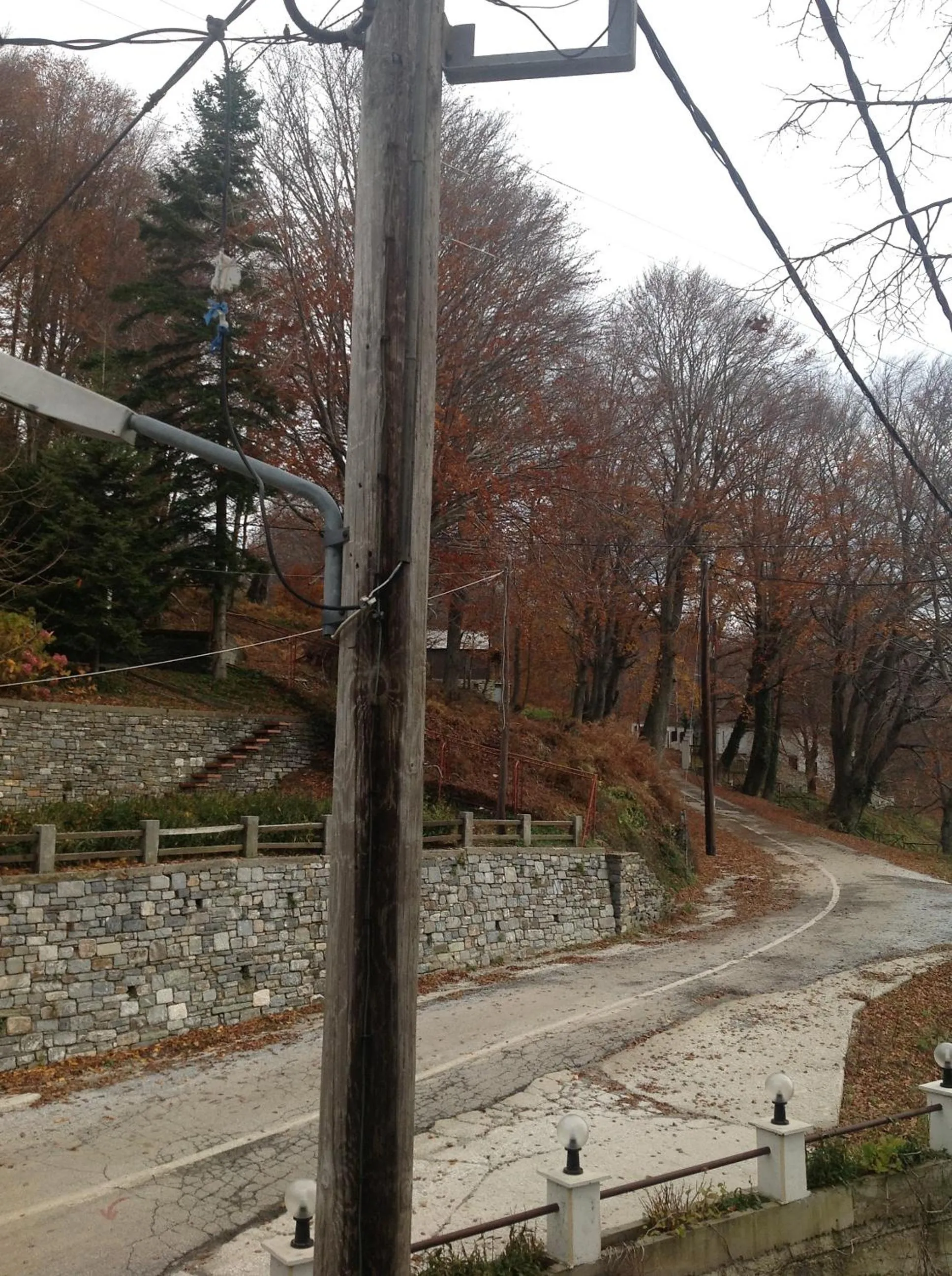 Area and facilities in Hotel Hani Zisi