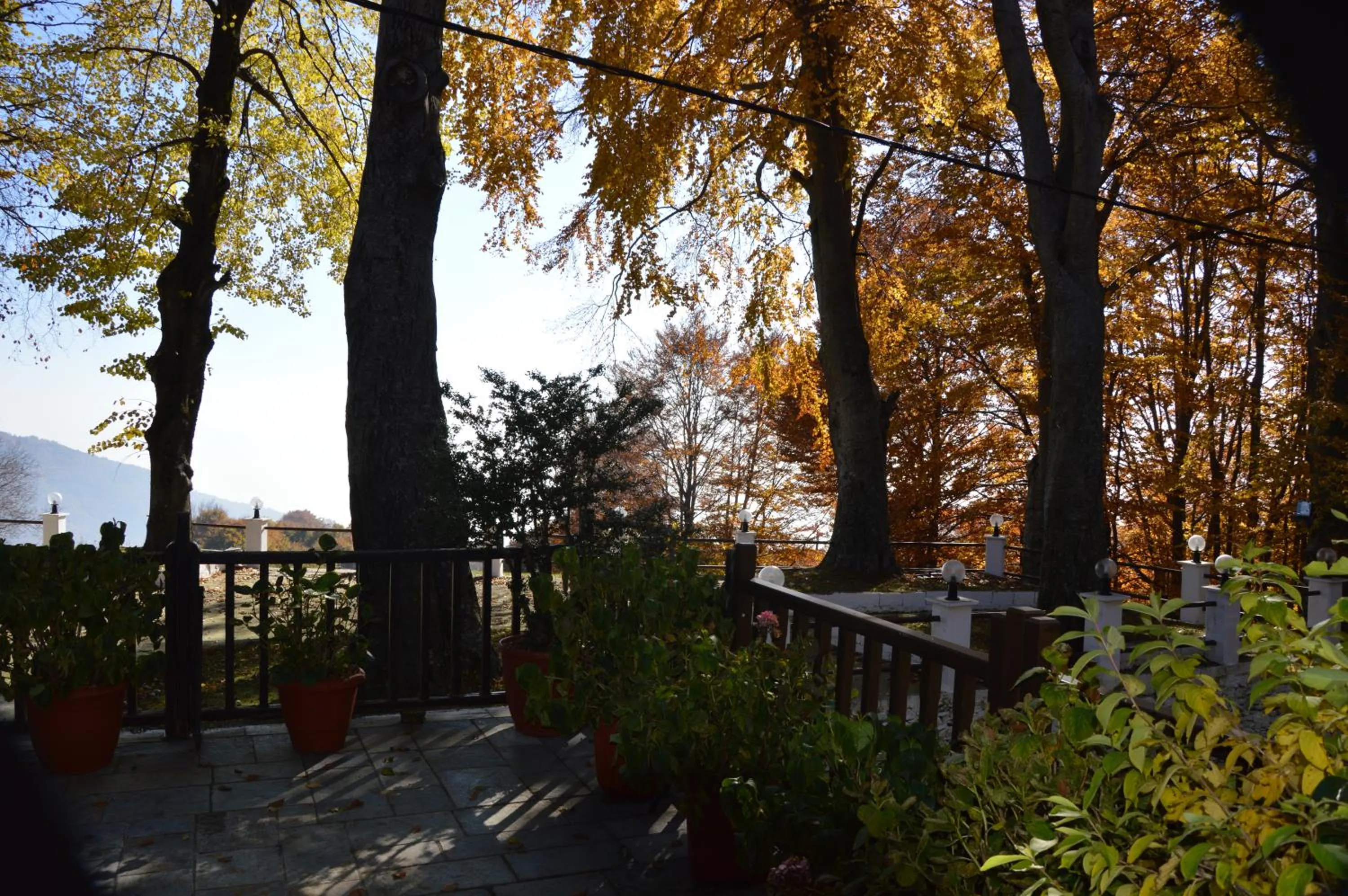 Garden in Hotel Hani Zisi