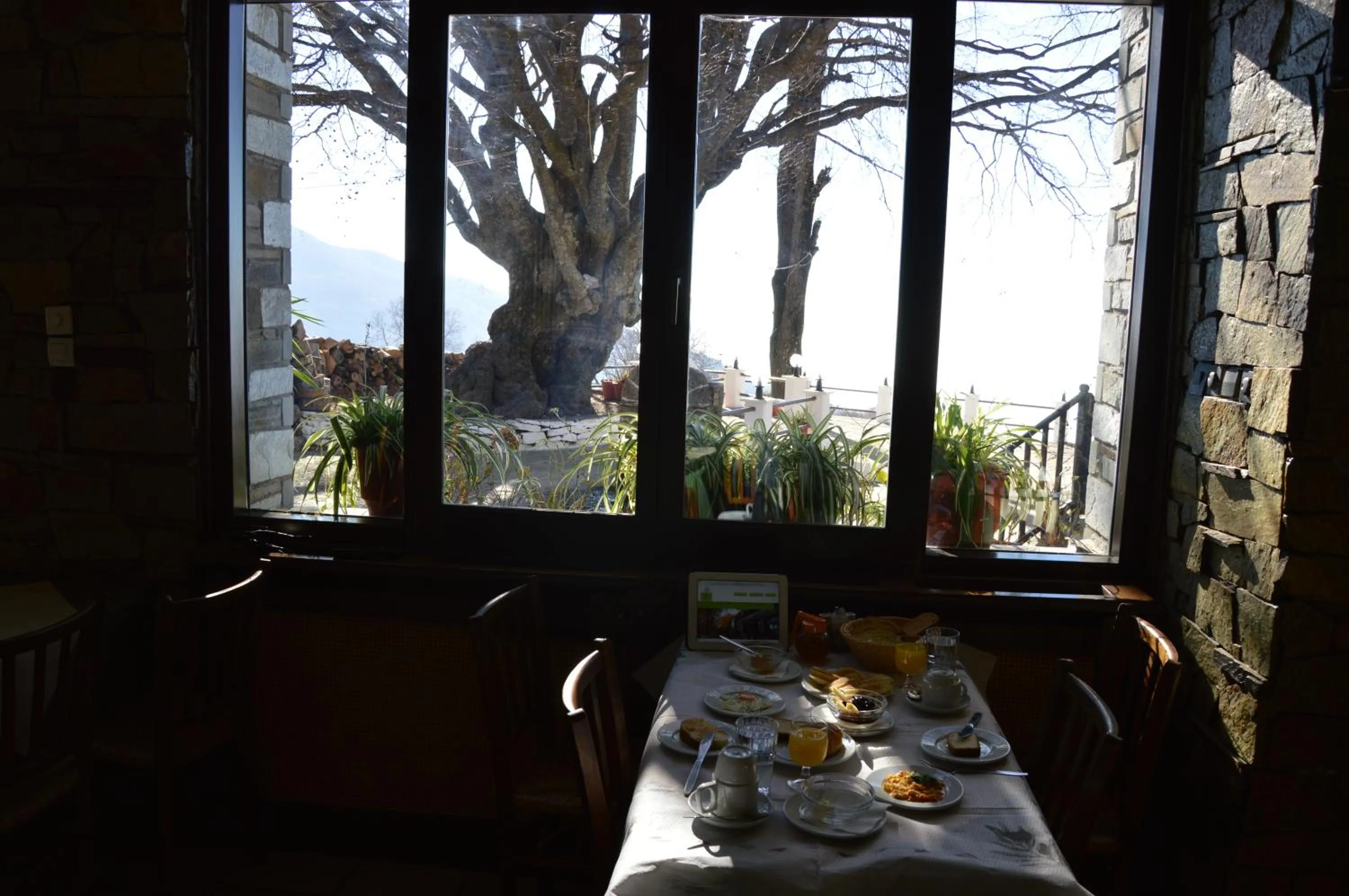 Restaurant/places to eat in Hotel Hani Zisi