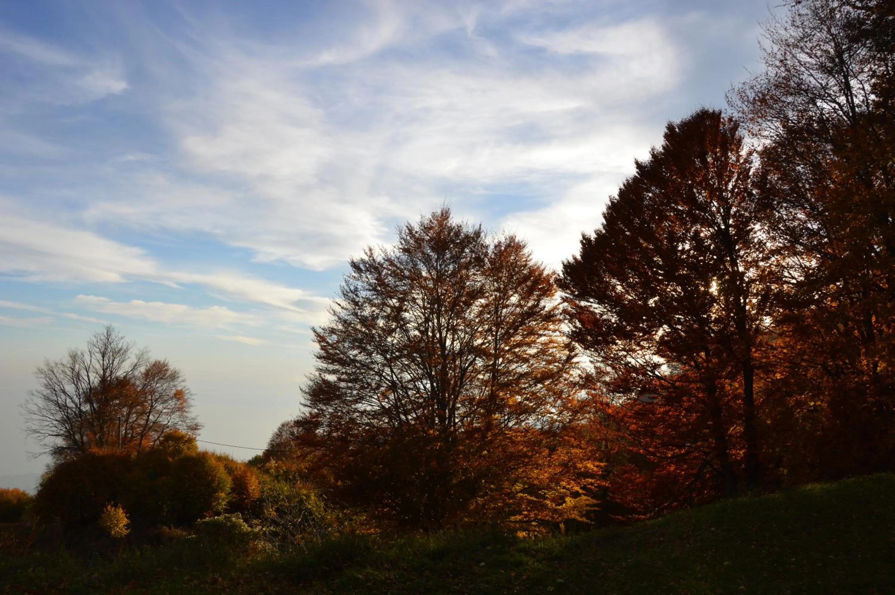 Autumn in Hotel Hani Zisi