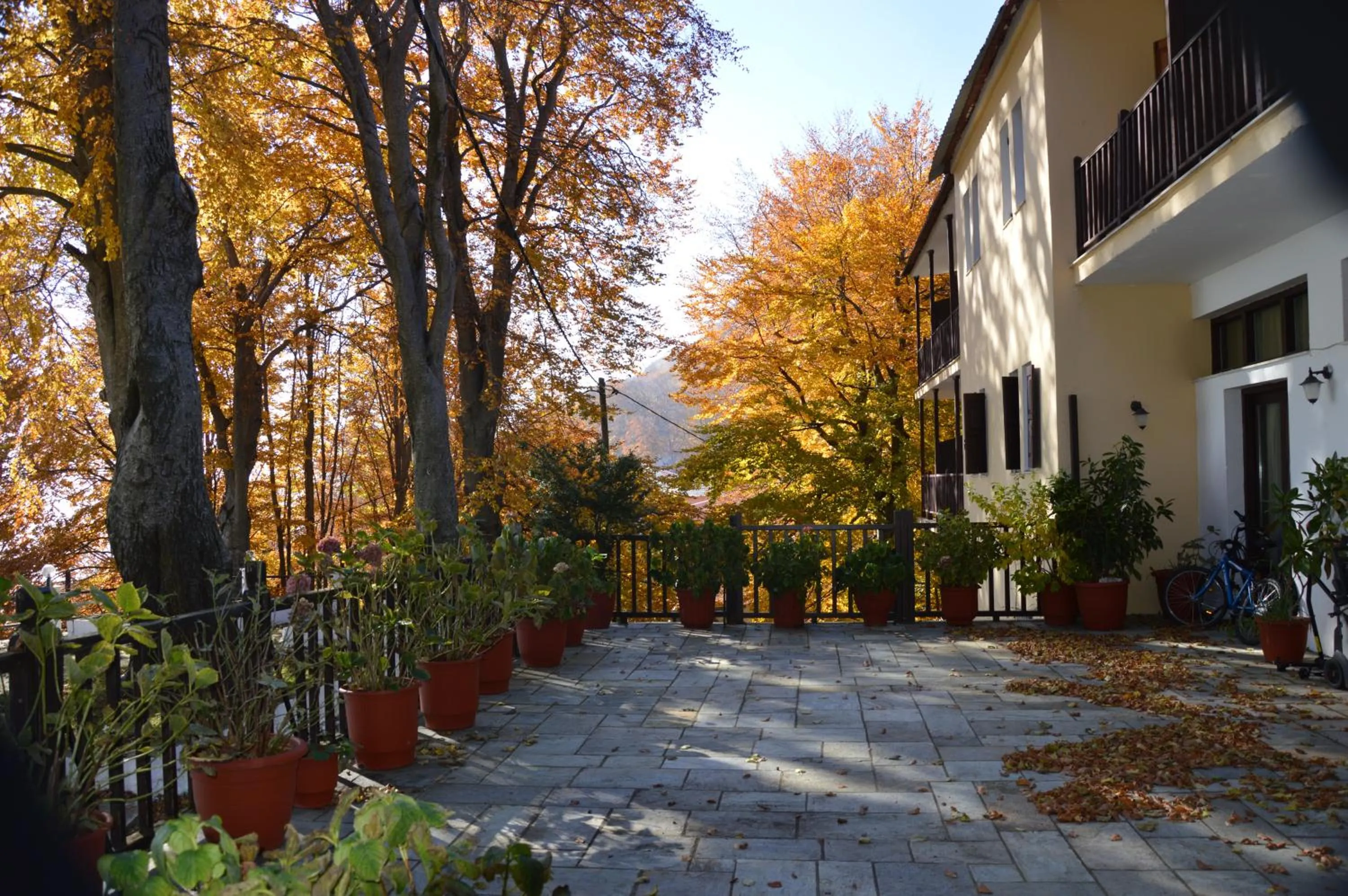 Property building in Hotel Hani Zisi