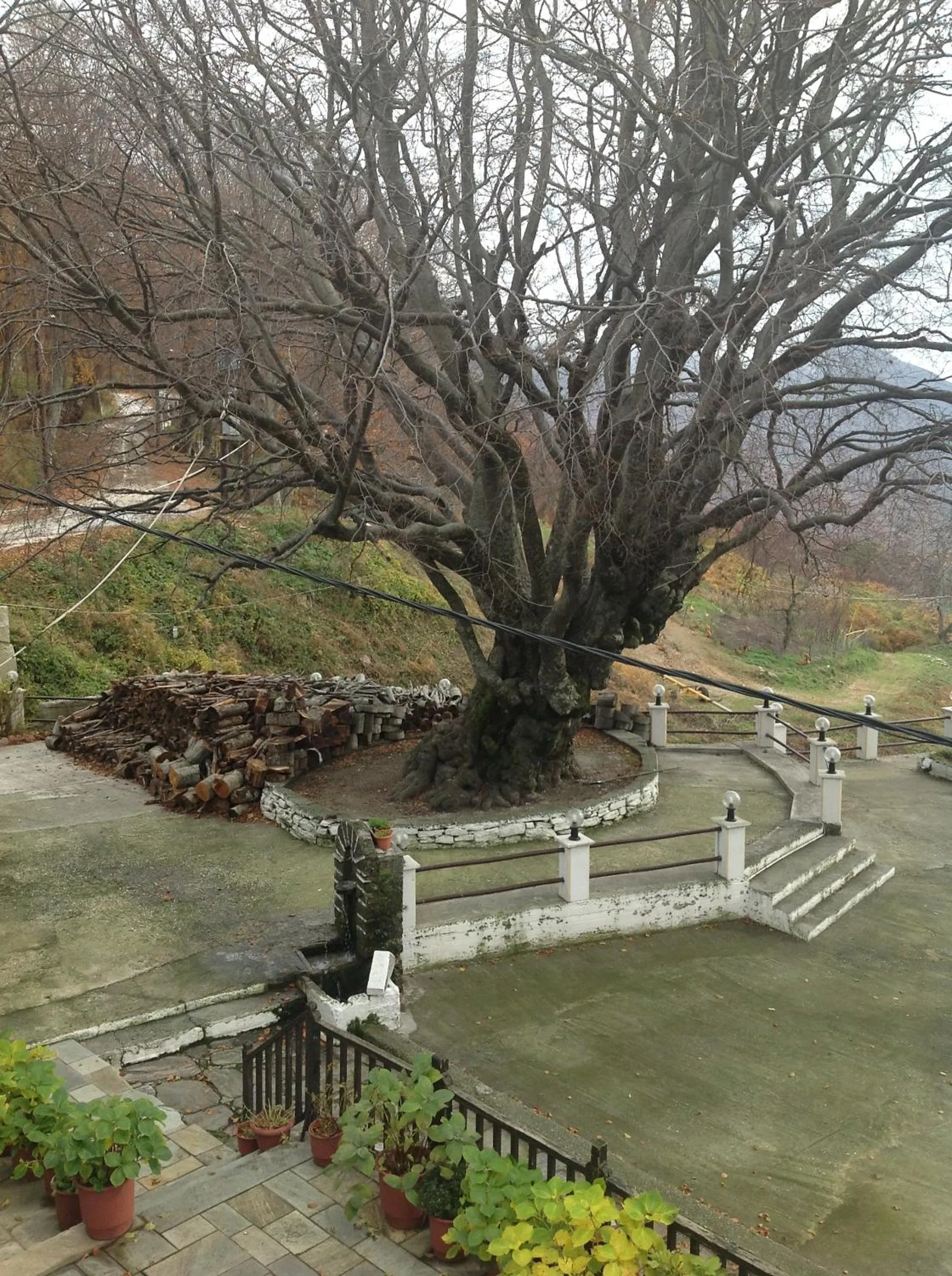 Area and facilities in Hotel Hani Zisi