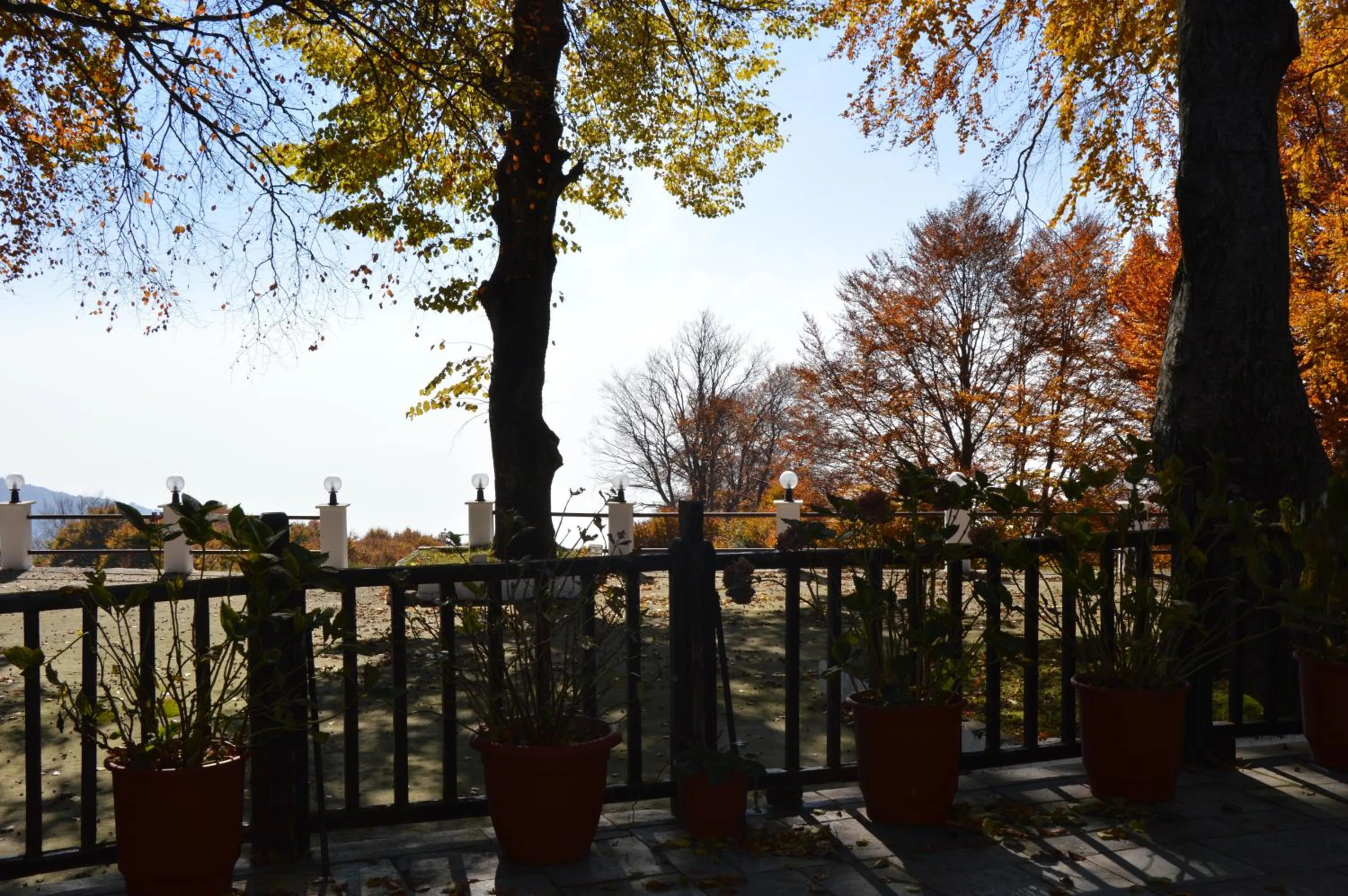 Autumn in Hotel Hani Zisi