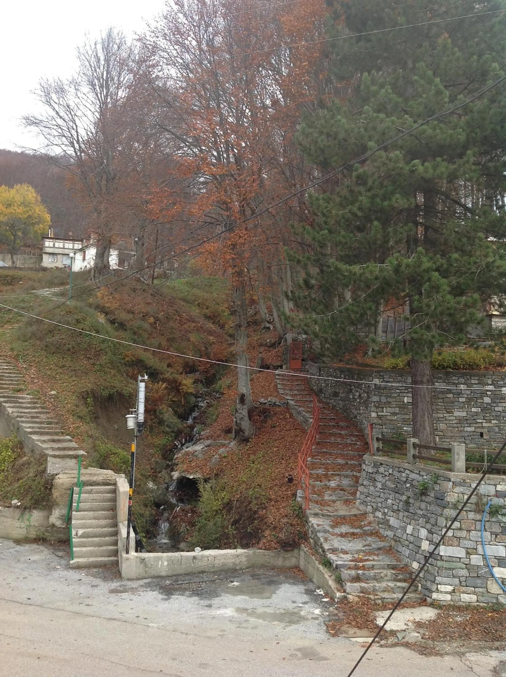 Area and facilities in Hotel Hani Zisi