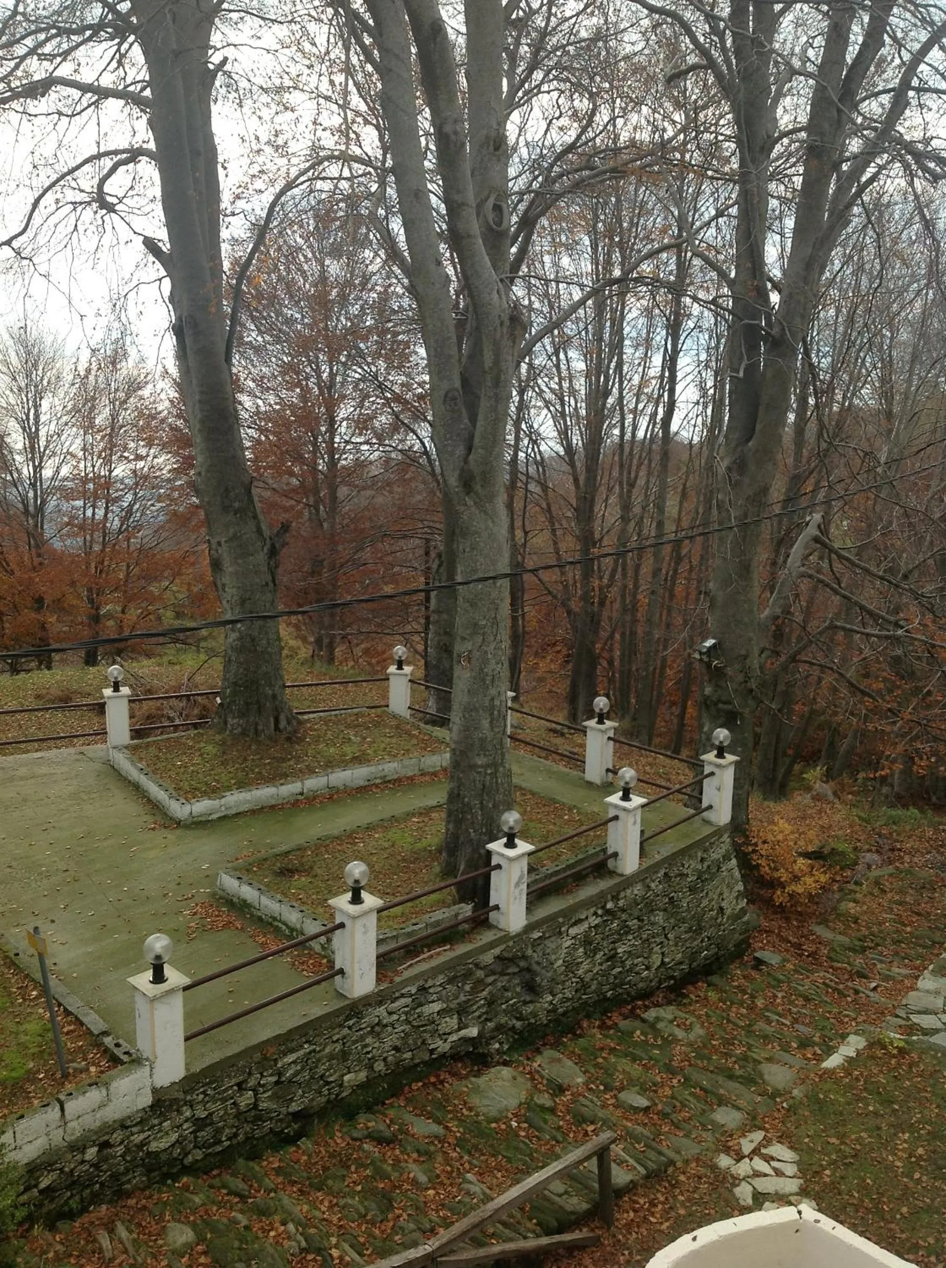 Area and facilities in Hotel Hani Zisi