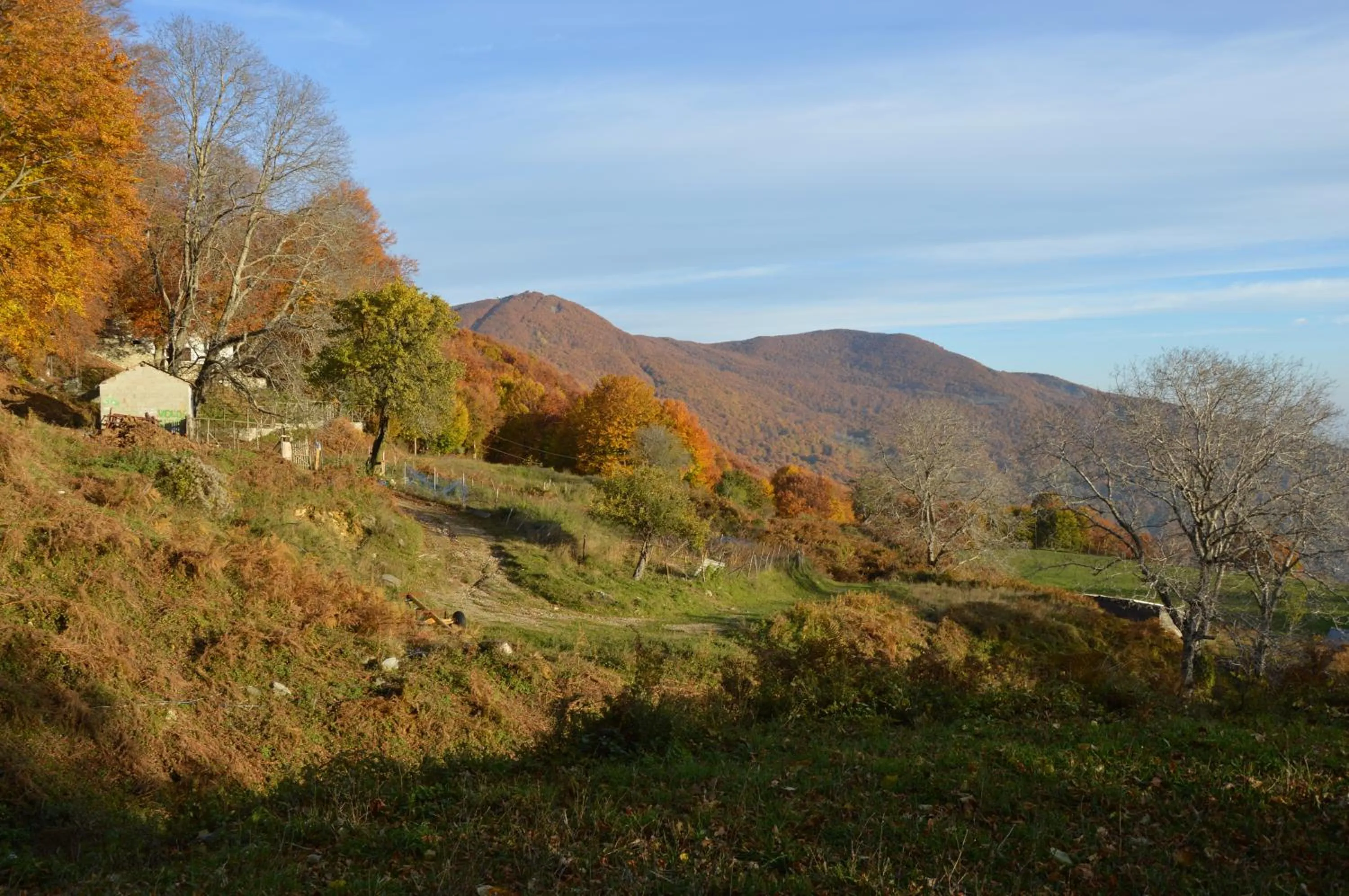 Skiing in Hotel Hani Zisi