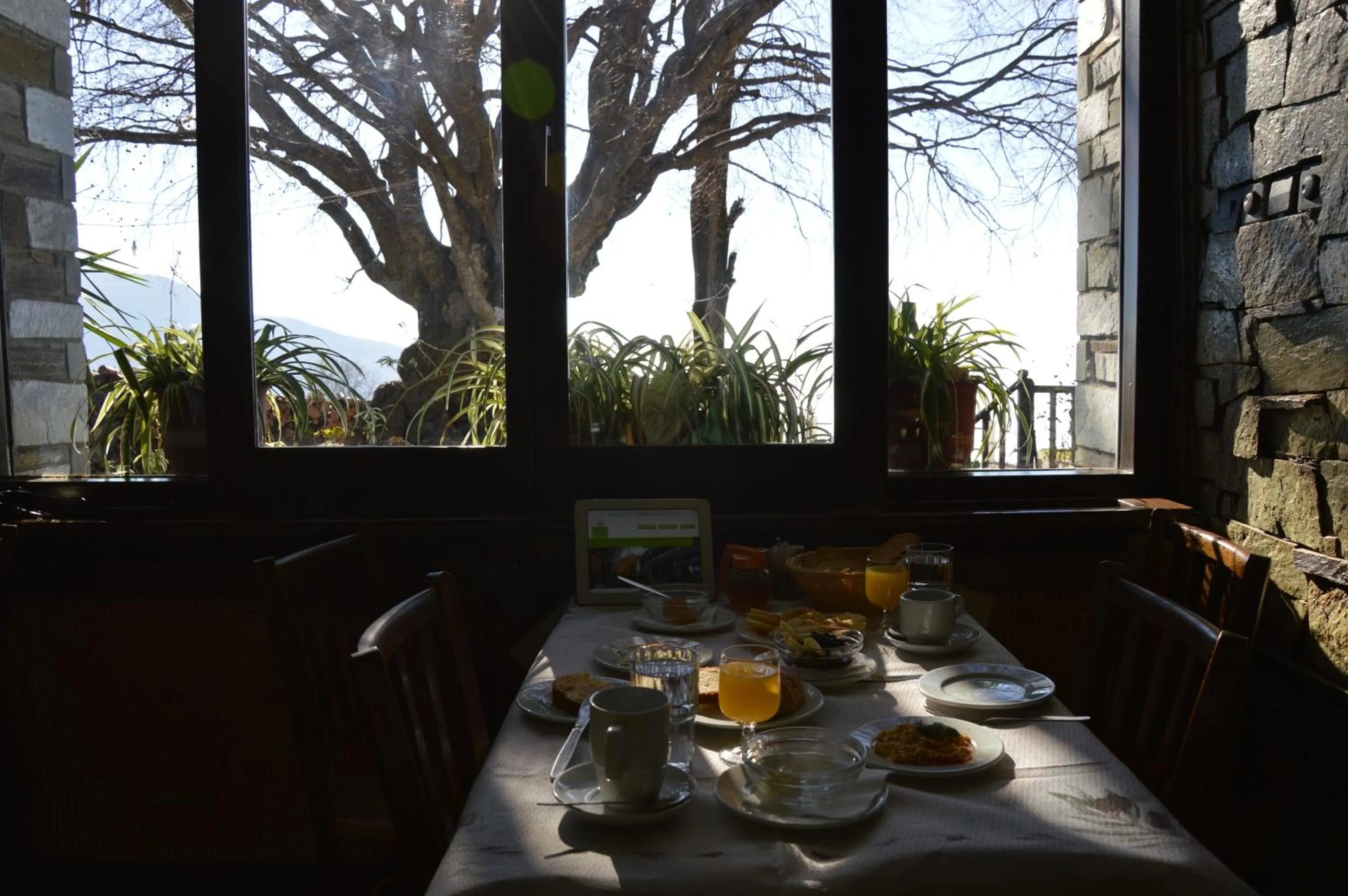 Restaurant/places to eat in Hotel Hani Zisi