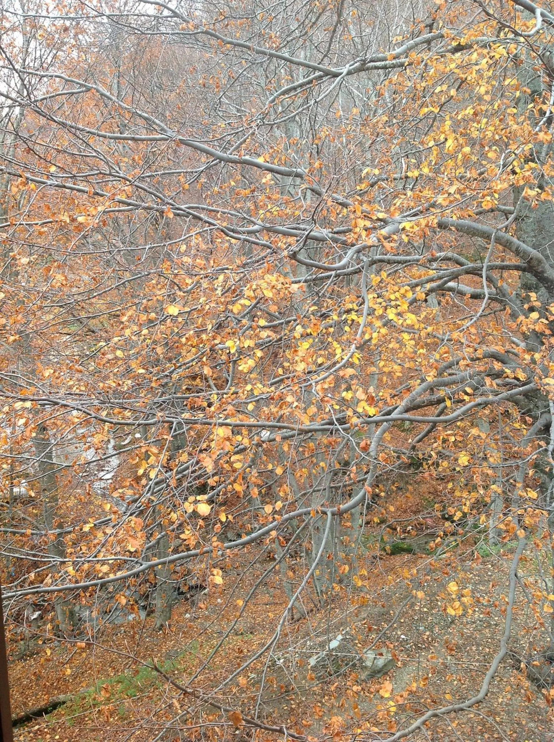 Area and facilities in Hotel Hani Zisi