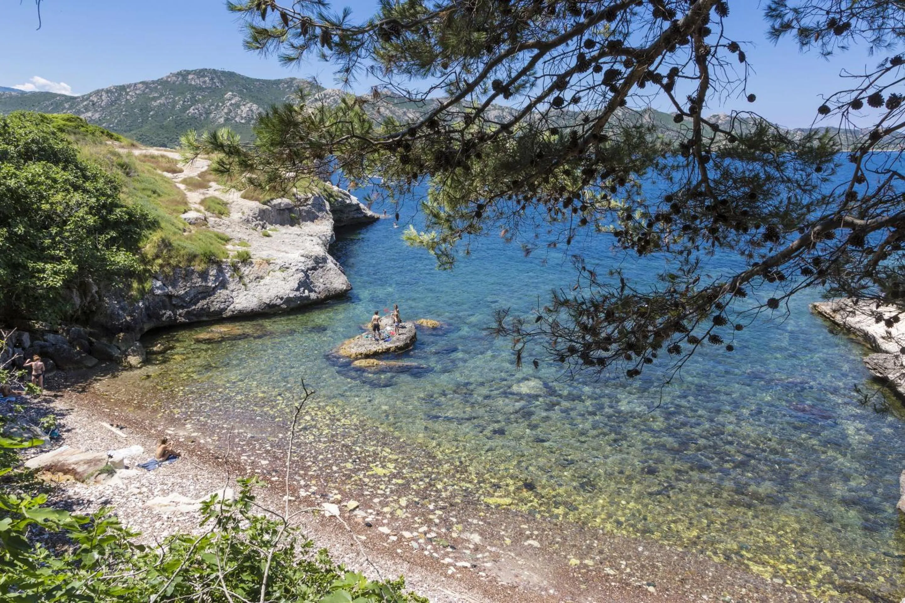 Activities in Résidence Odalys Casa d'Orinaju