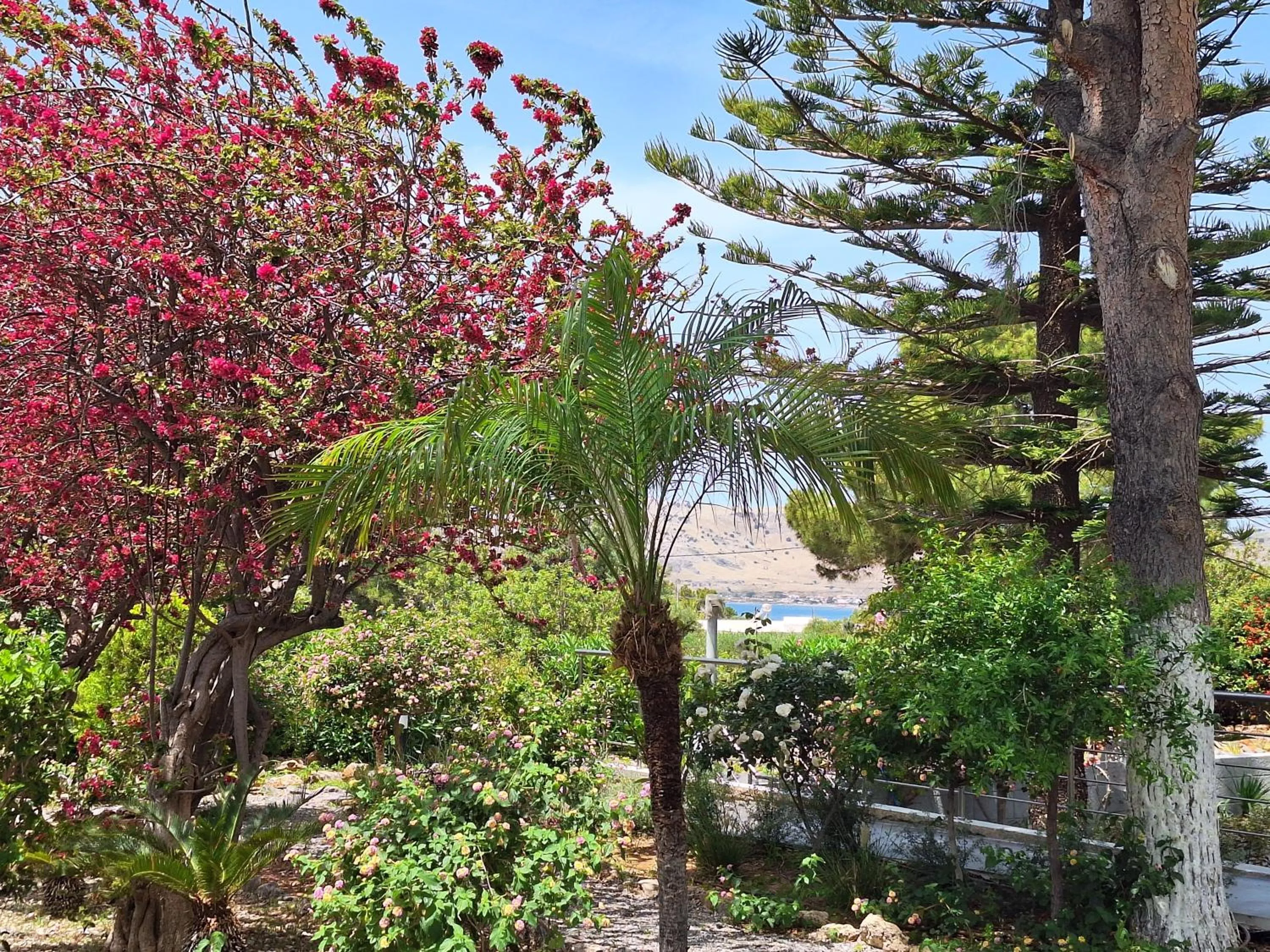 George Beach Studios