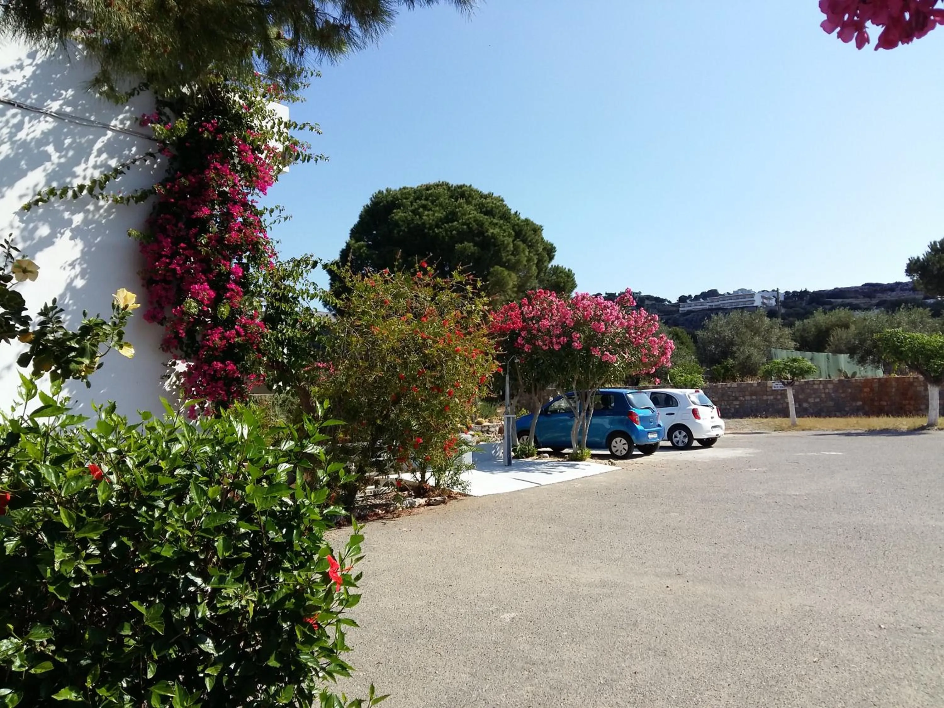 Day in George Beach Studios