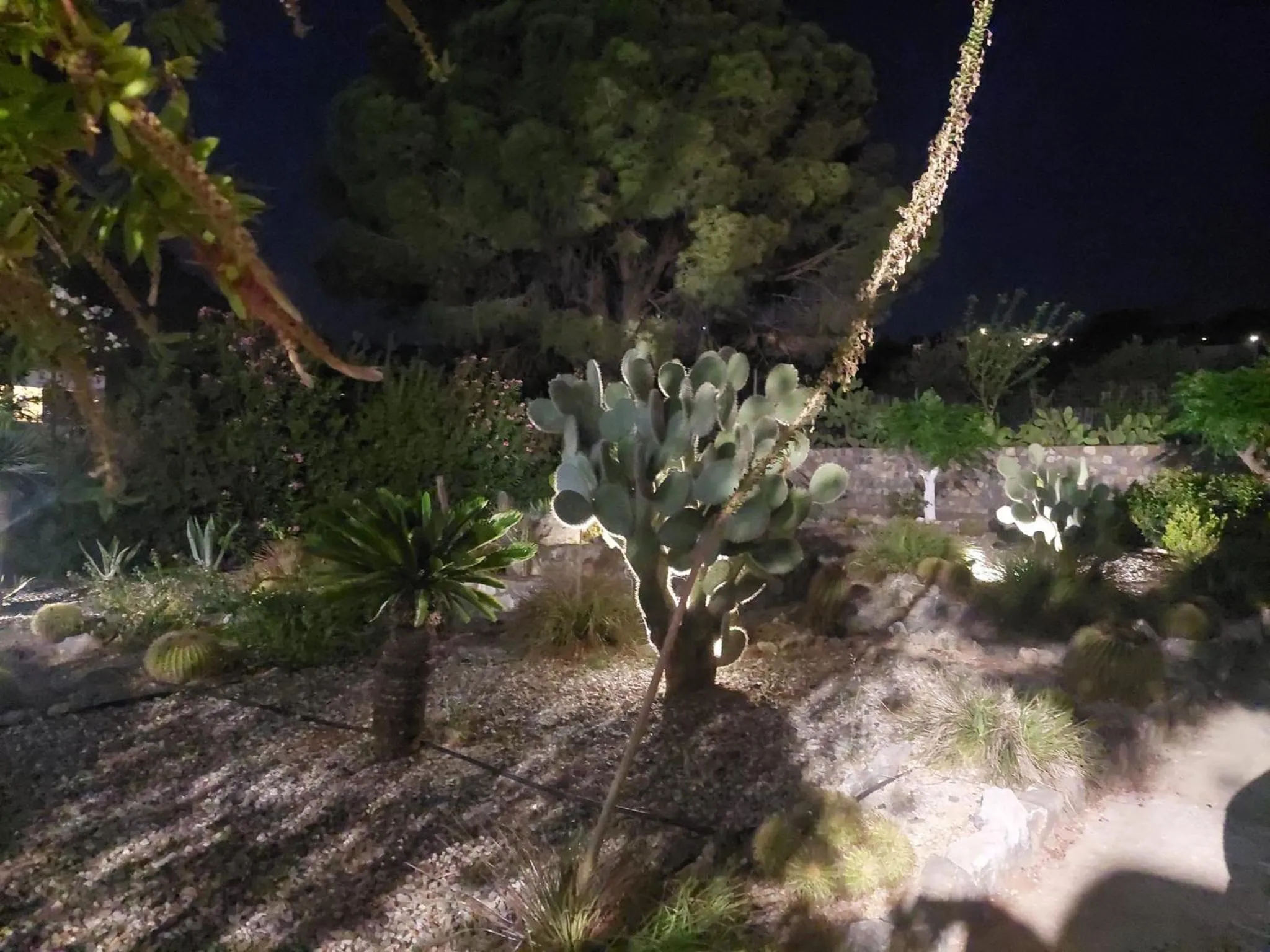 George Beach Studios