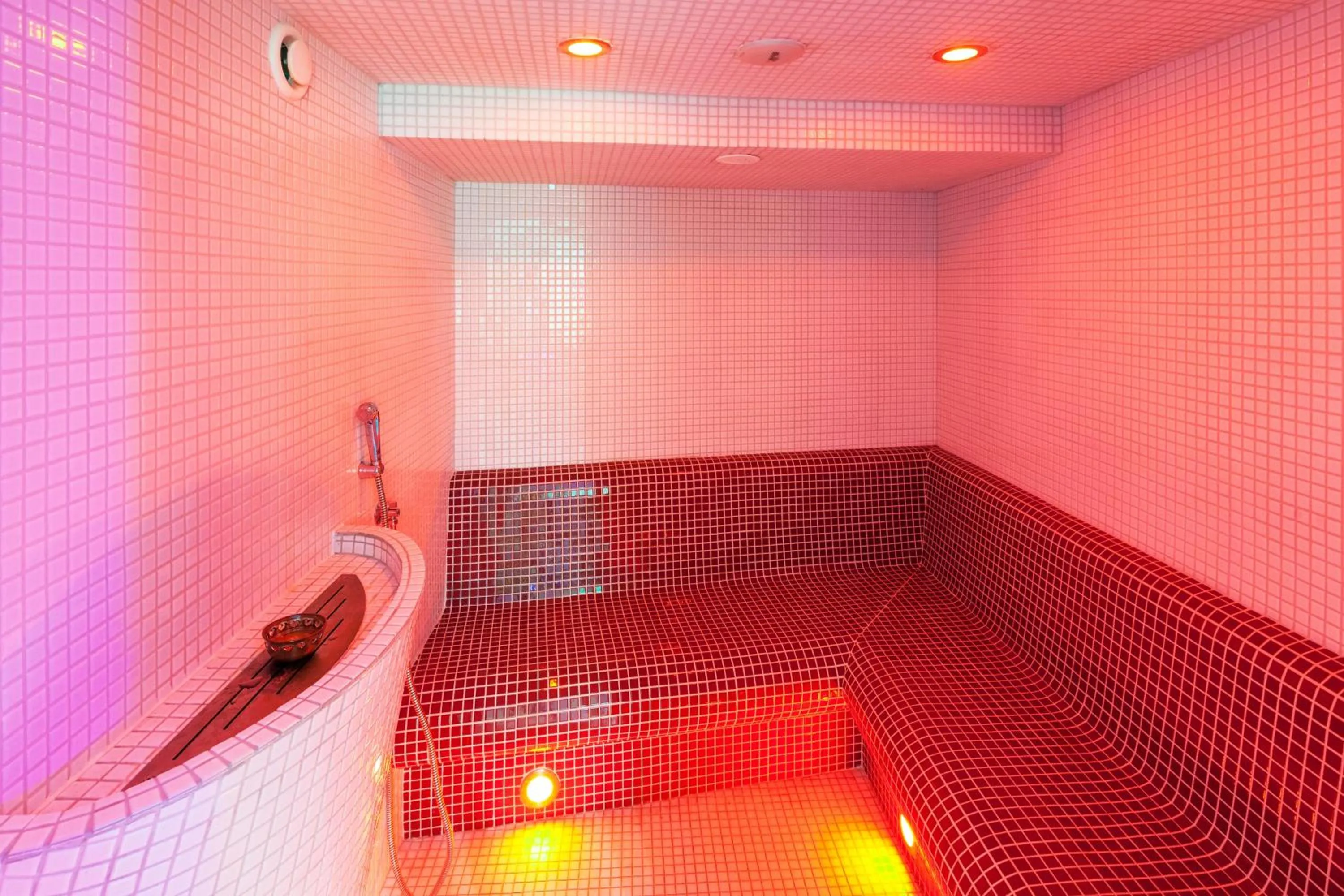 Steam room in Hotel McLimon