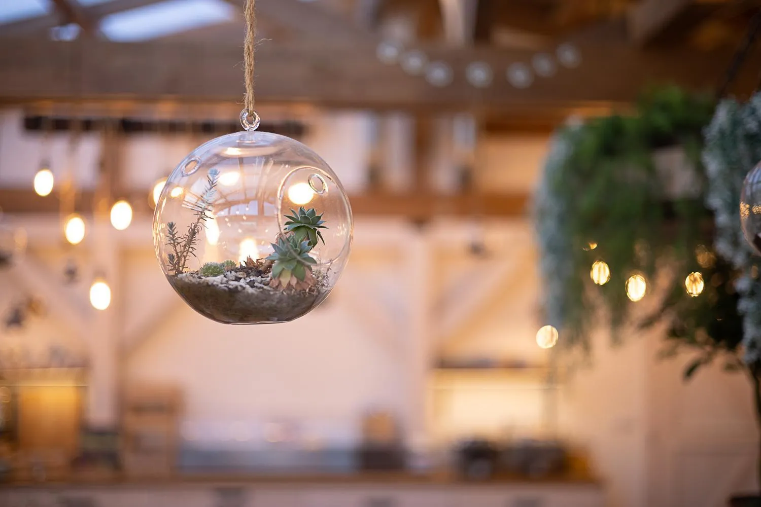 Restaurant/places to eat in Hotel McLimon