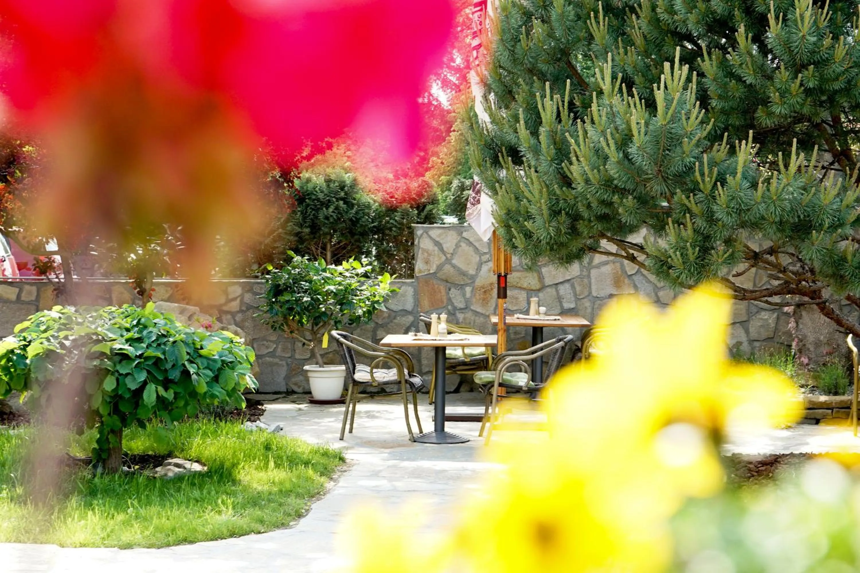 Restaurant/places to eat in Hotel McLimon