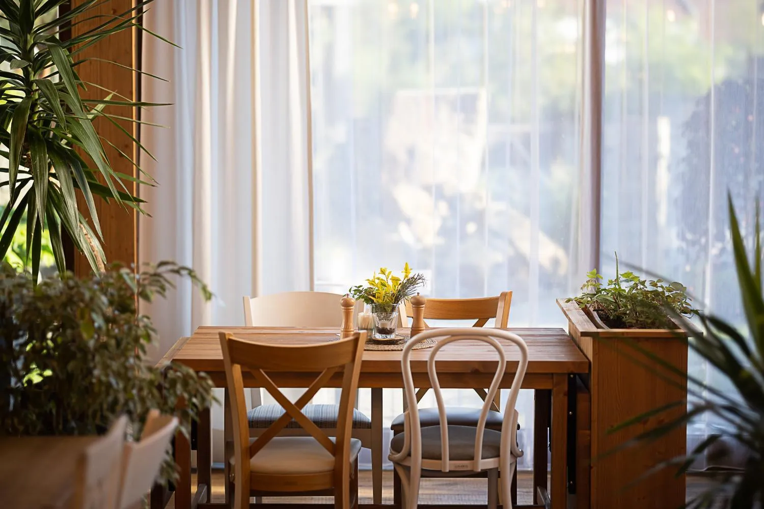 Restaurant/places to eat in Hotel McLimon