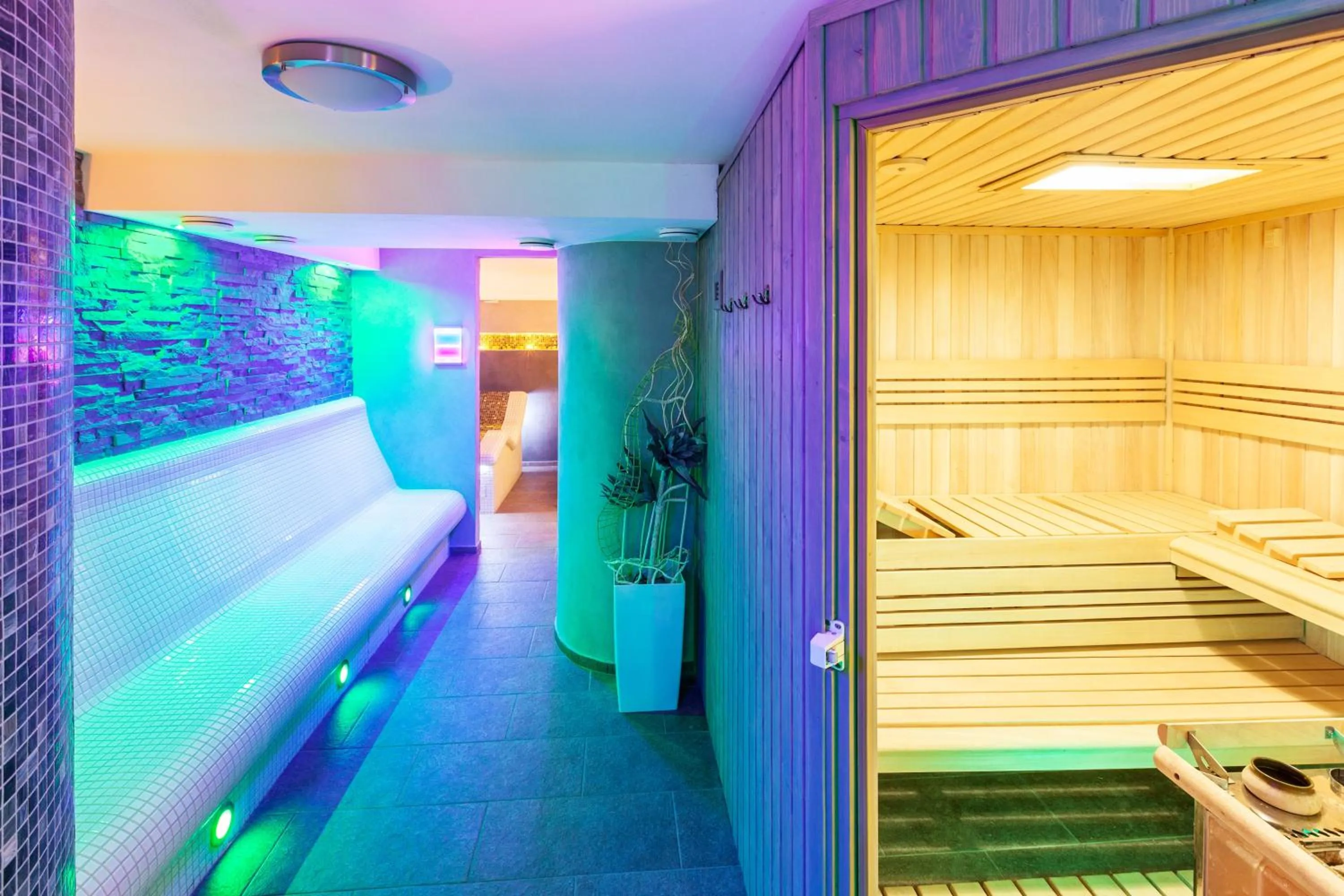 Hot Tub, Bed in Hotel McLimon