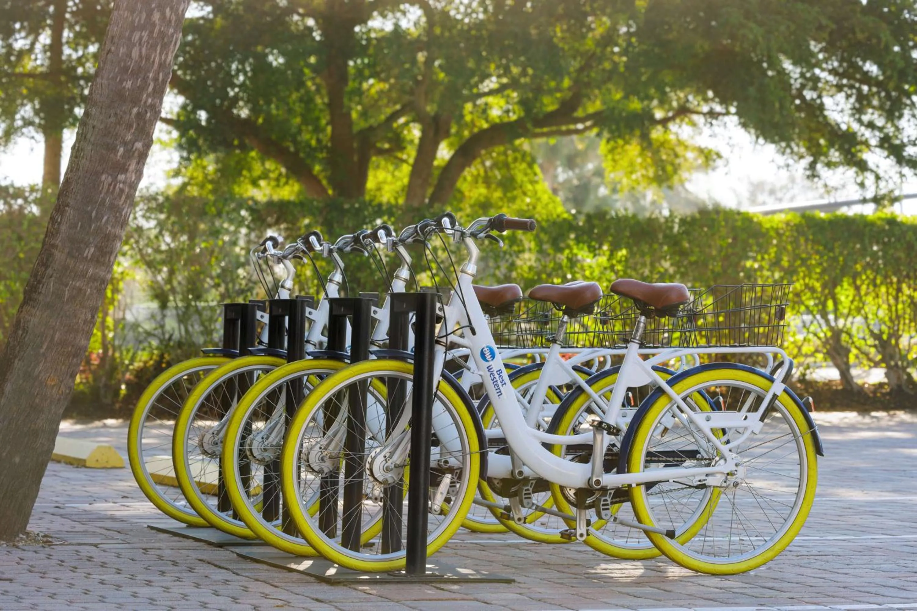 Sports in Best Western Naples Inn & Suites