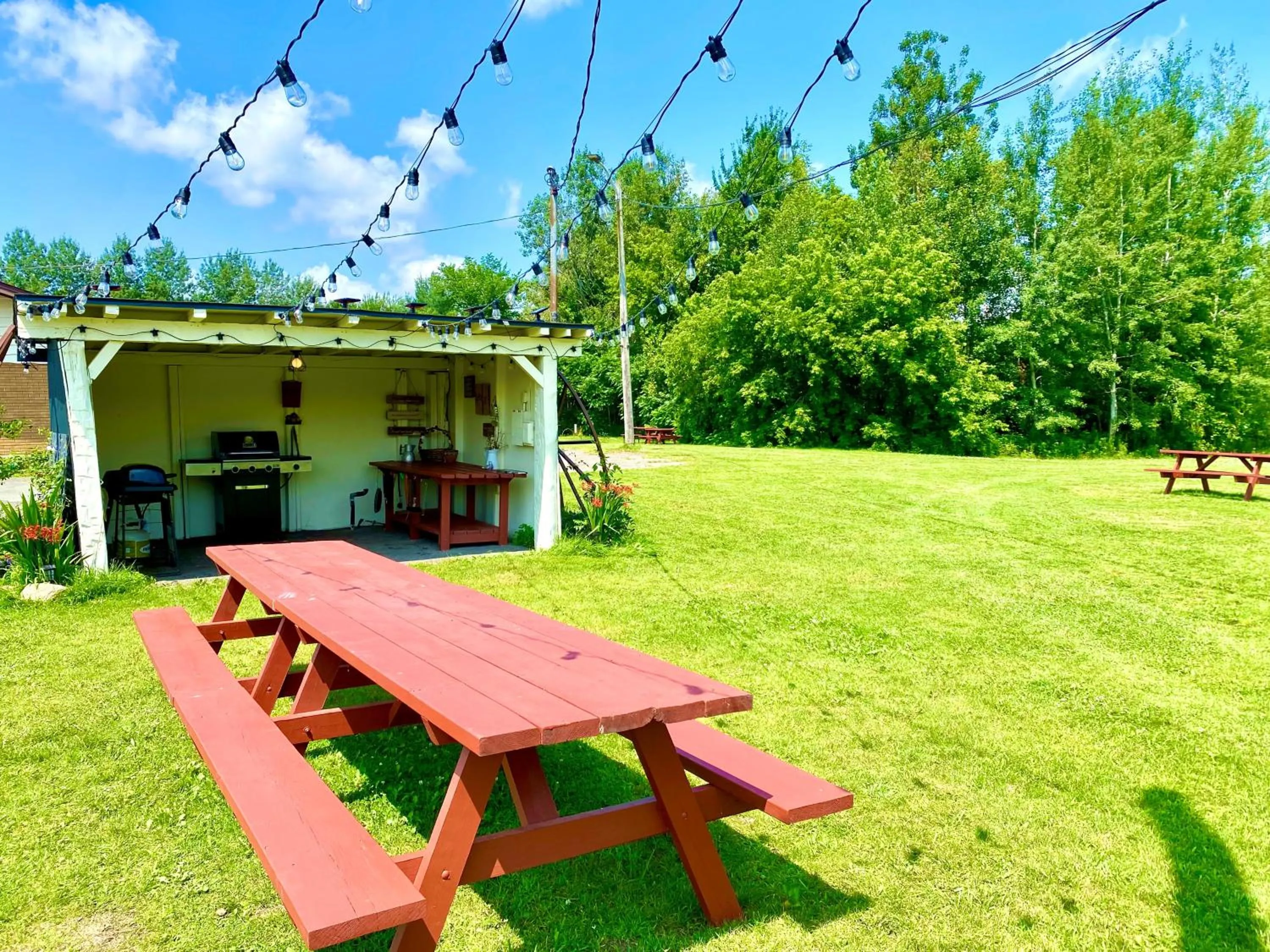 BBQ facilities in Hotel Motel Bonsoir