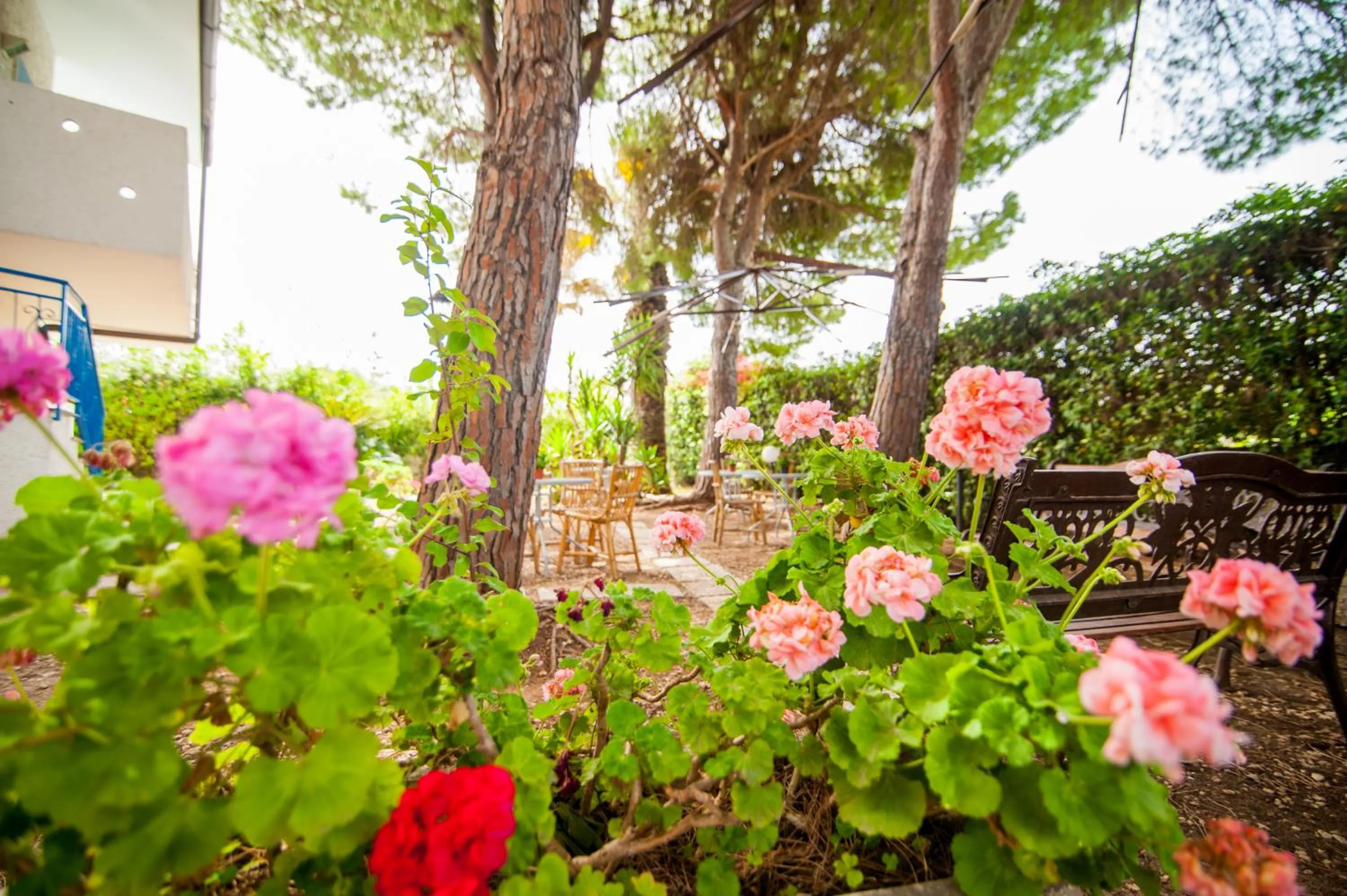 Garden in Suite House L'Isola Che Non C'è